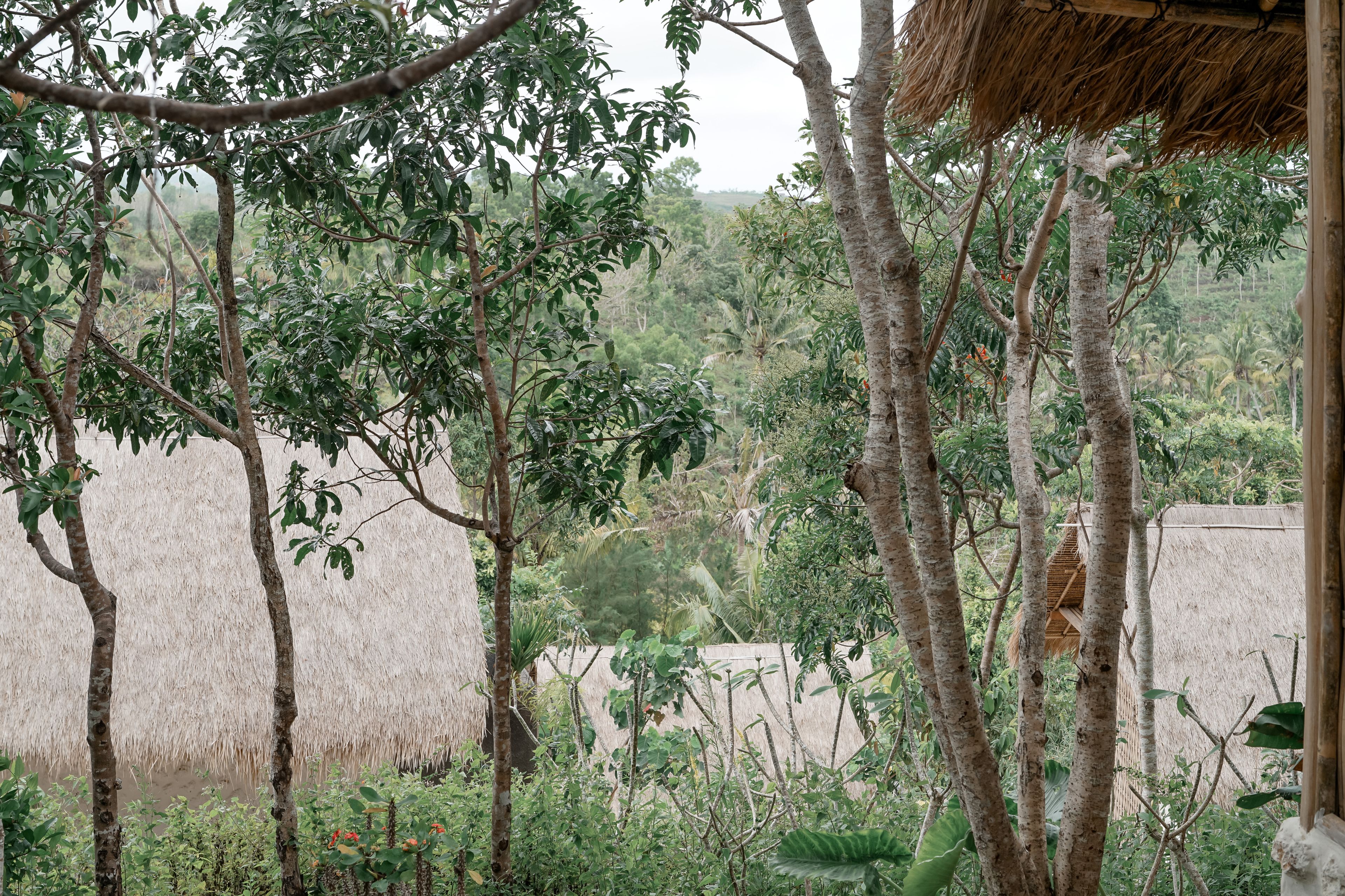 The Mesare Resort