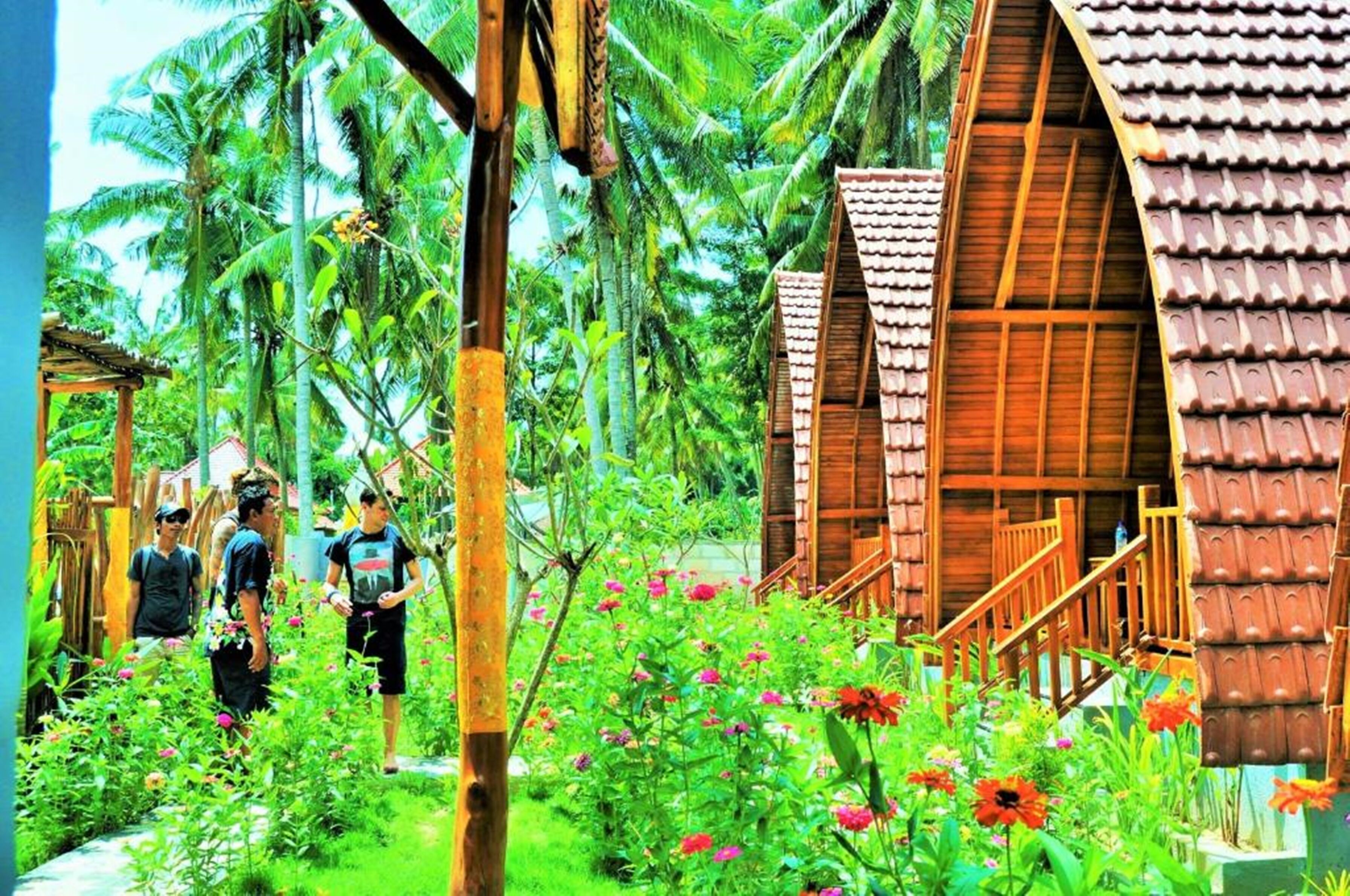 The Peace Arta Bungalow