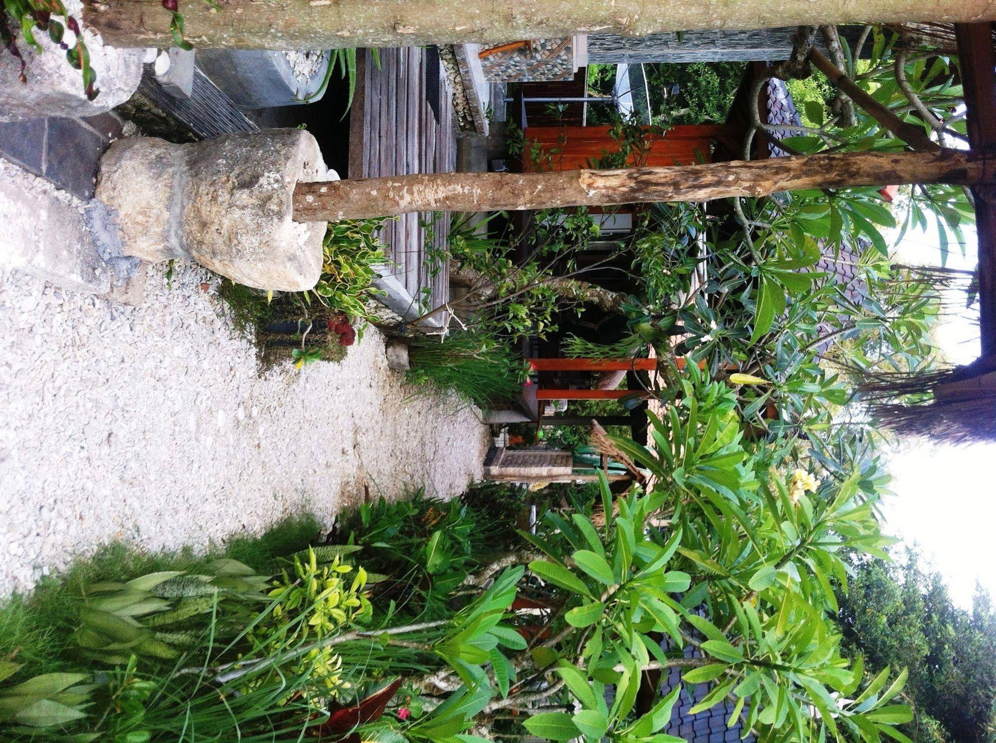 Villa Green House