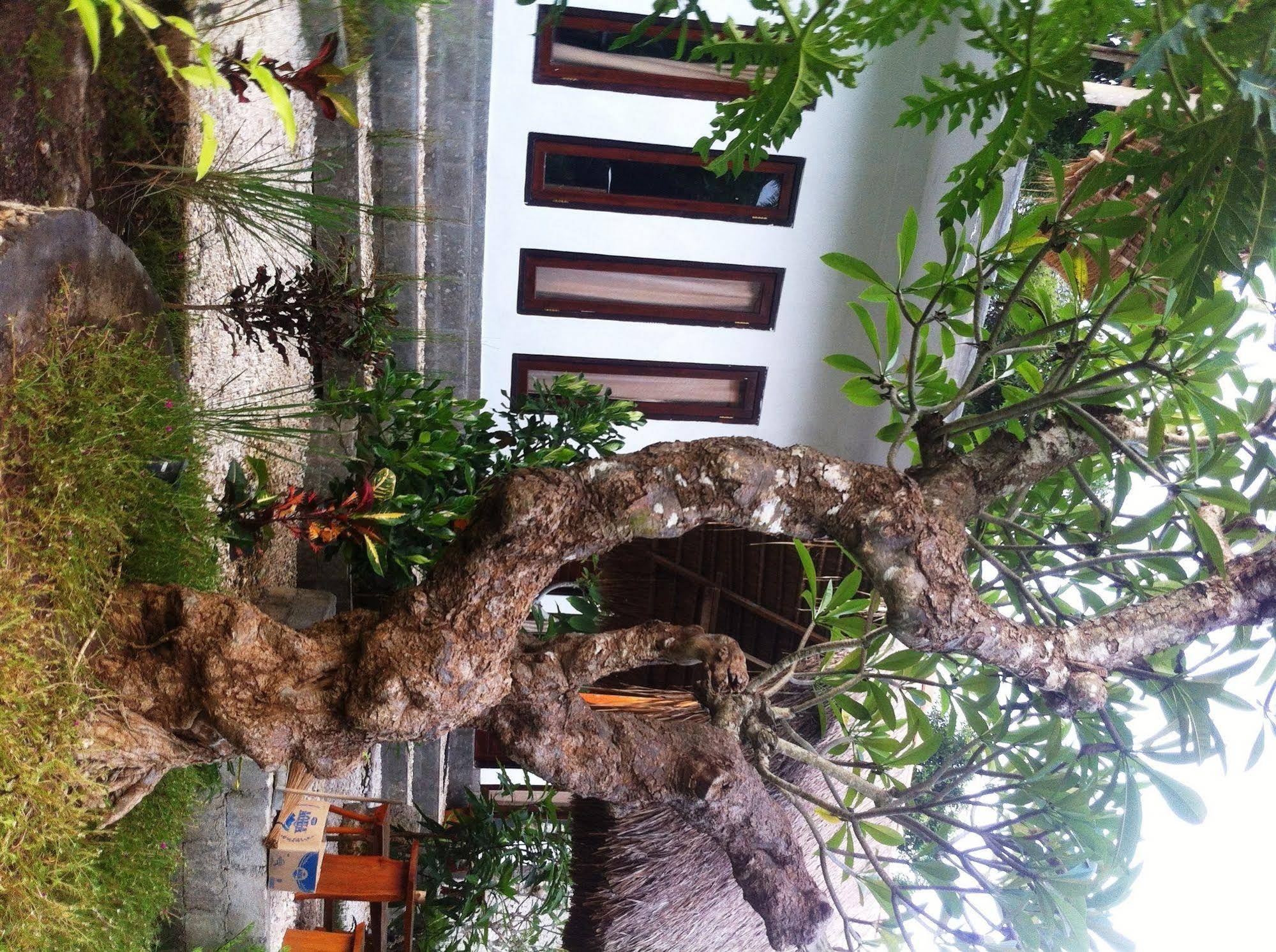 Villa Green House