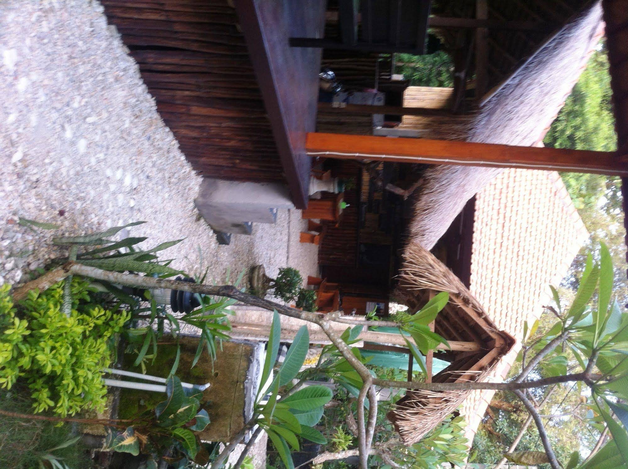 Villa Green House