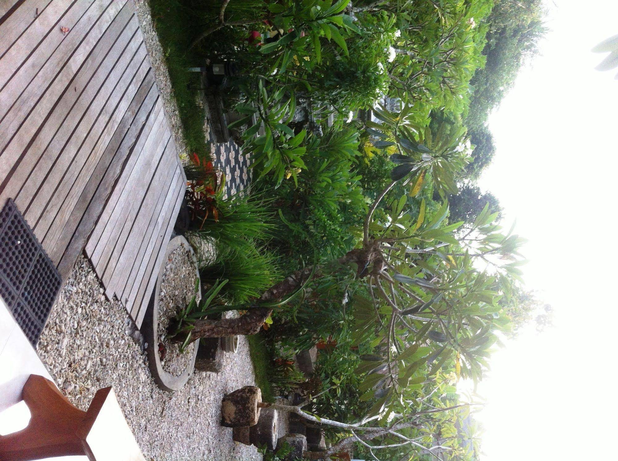 Villa Green House