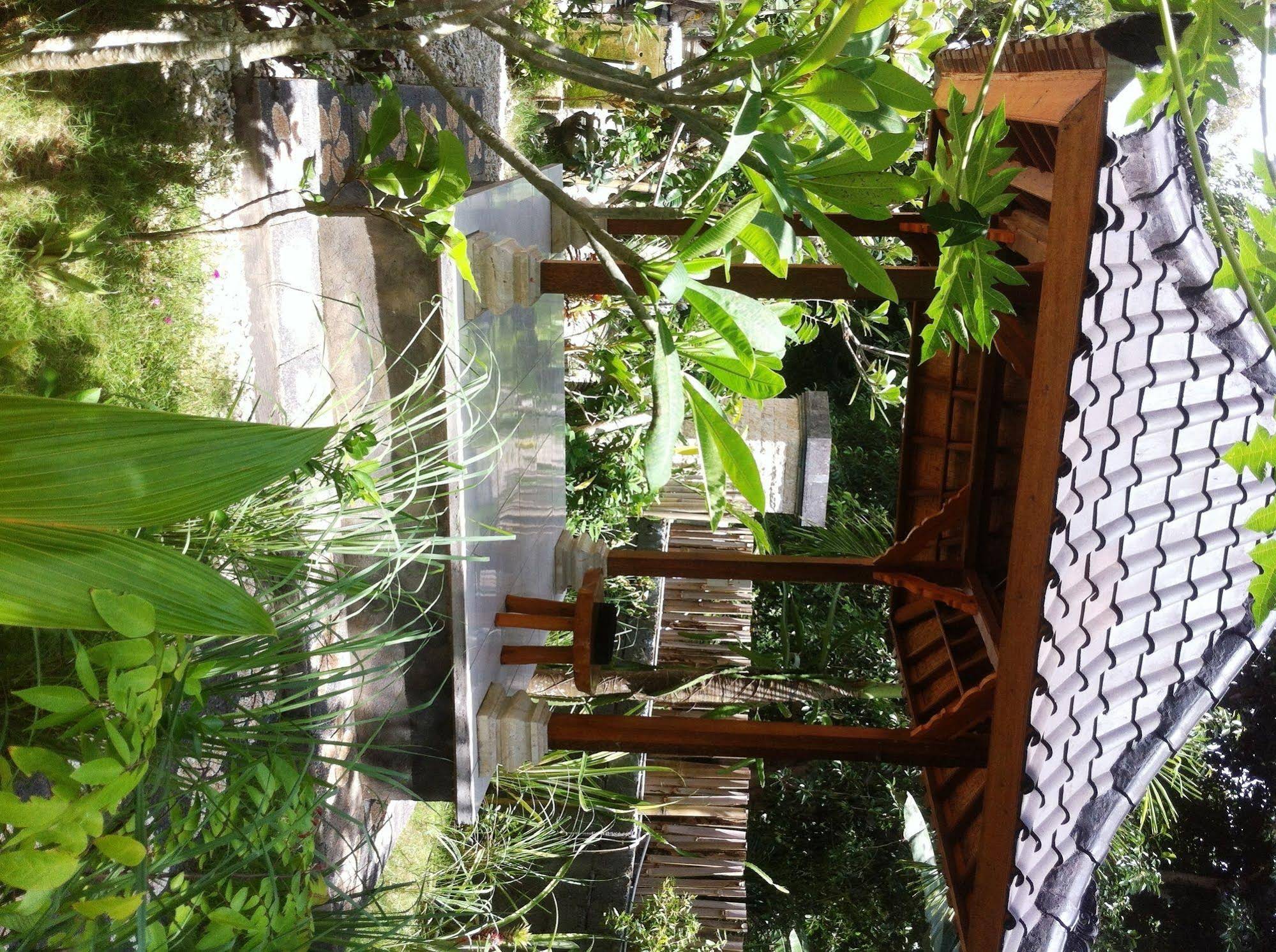 Villa Green House
