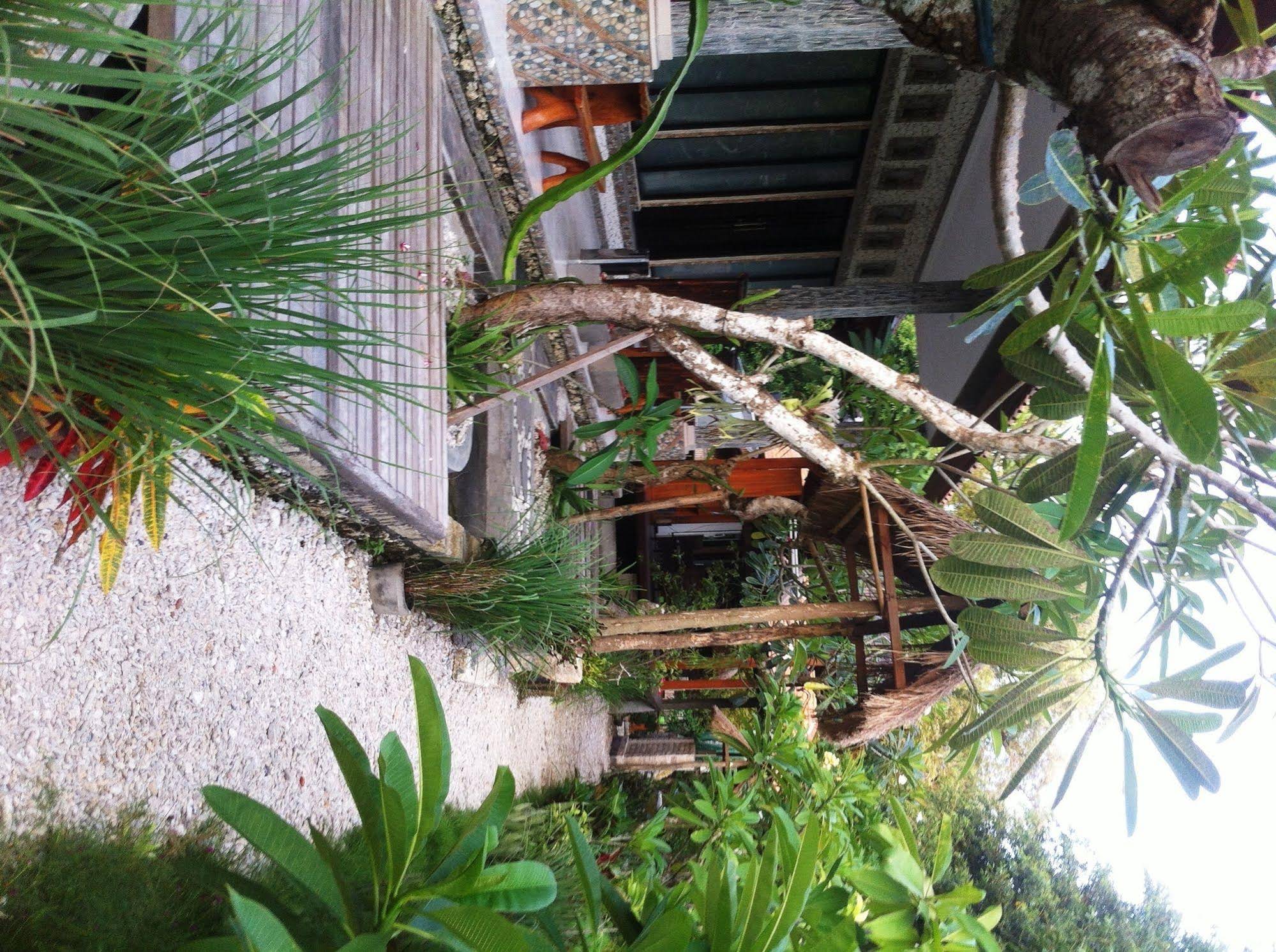 Villa Green House