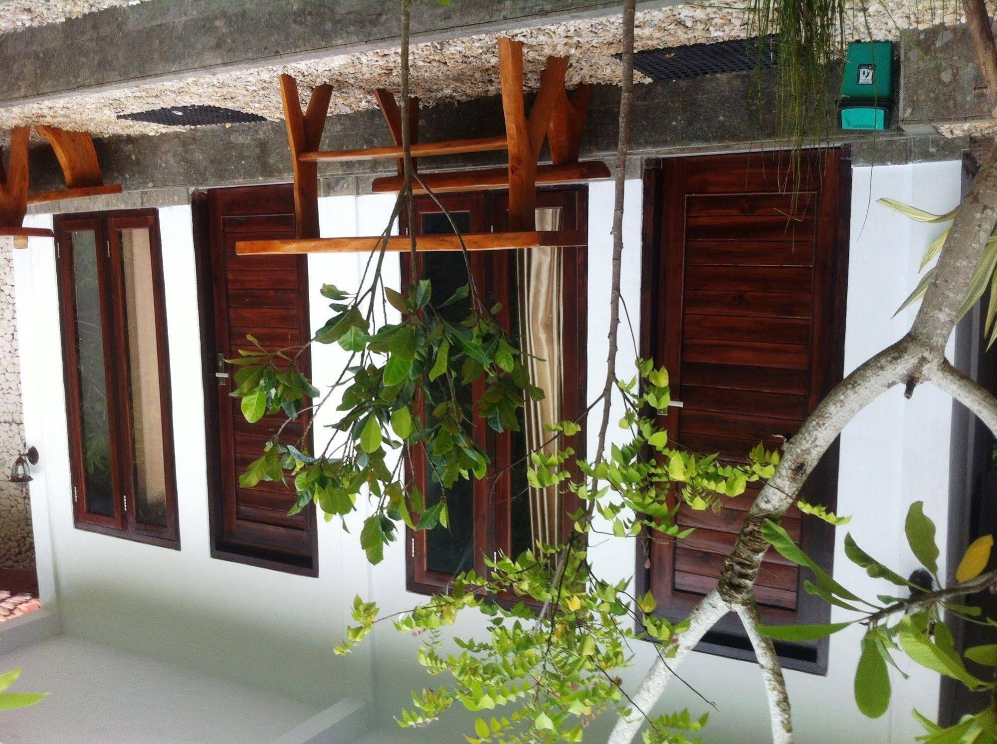 Villa Green House