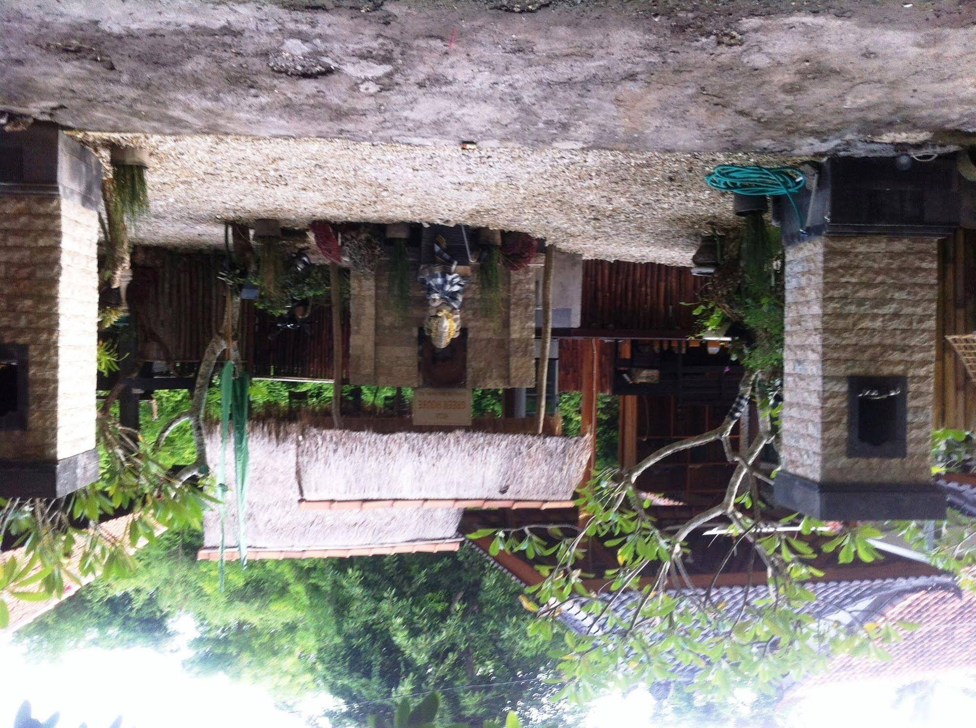 Villa Green House