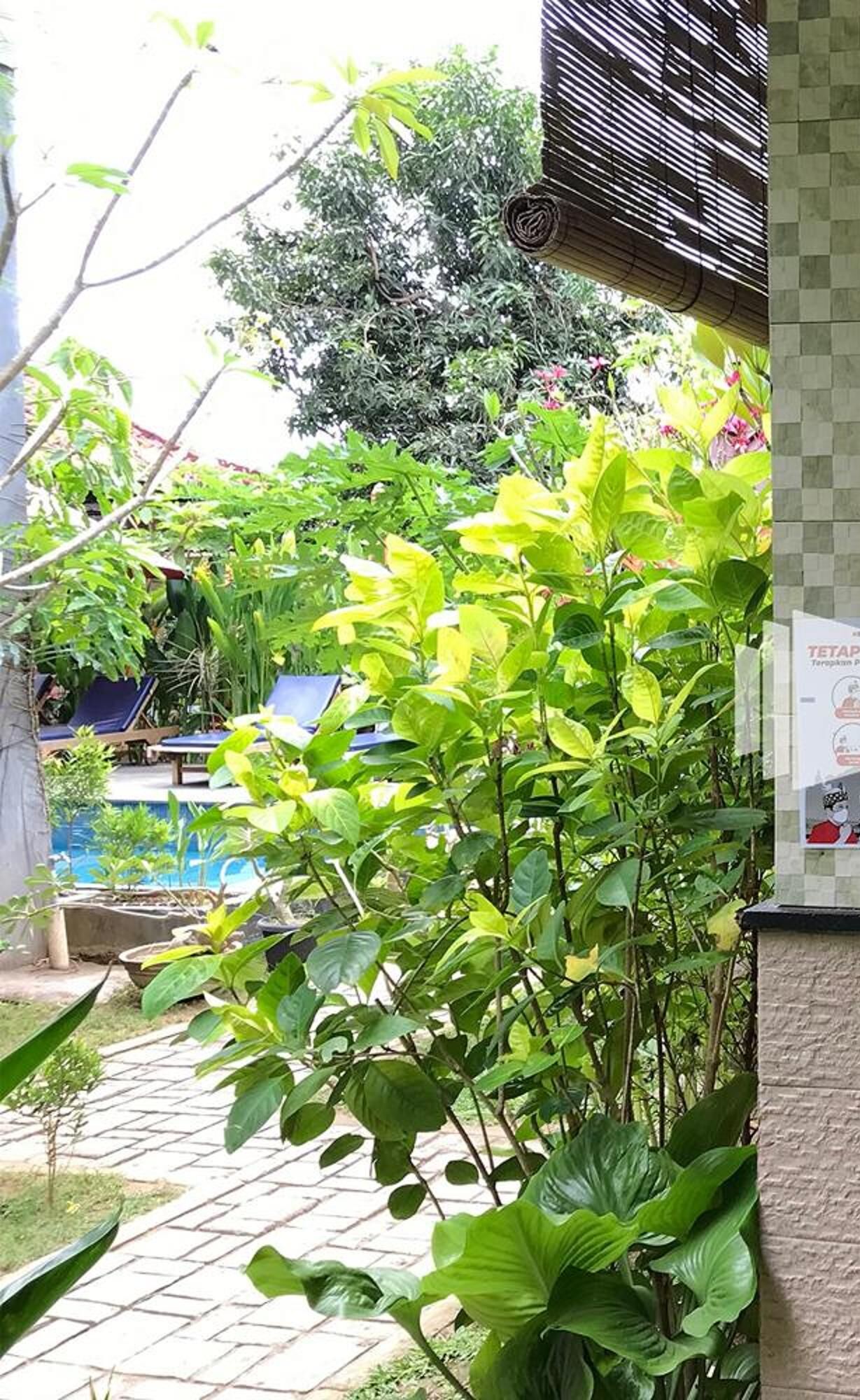 Visual Inn
