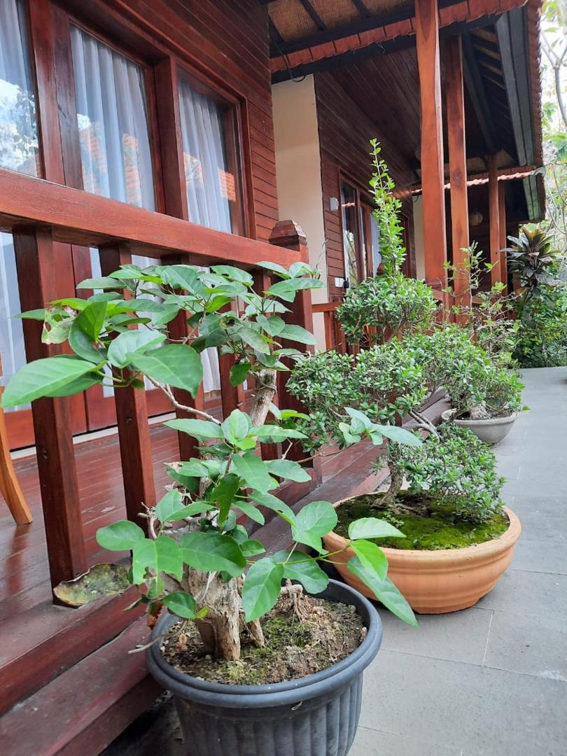 Wait Garden Cottage