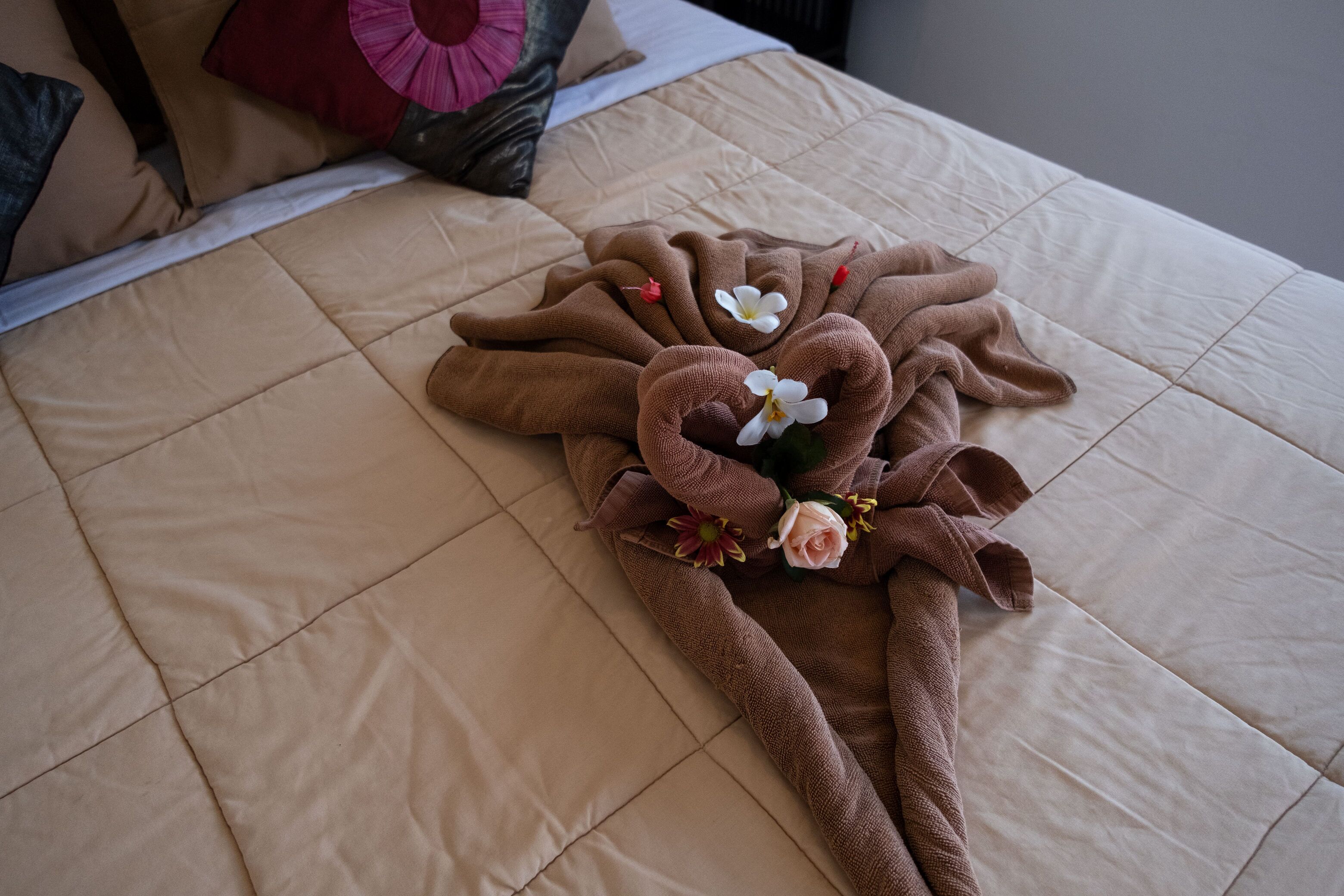 Absolute Scuba Bali Dive Resort