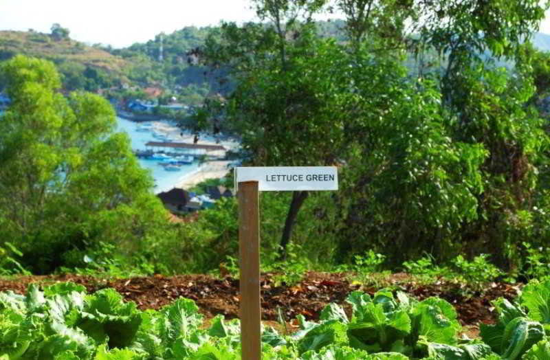 Bloo Lagoon Village