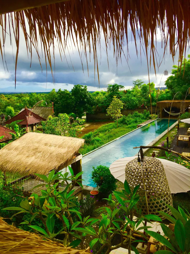Toraja Bambu