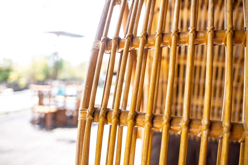 Toraja Bambu
