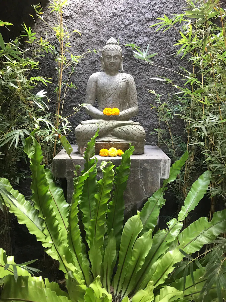 Toraja Bambu