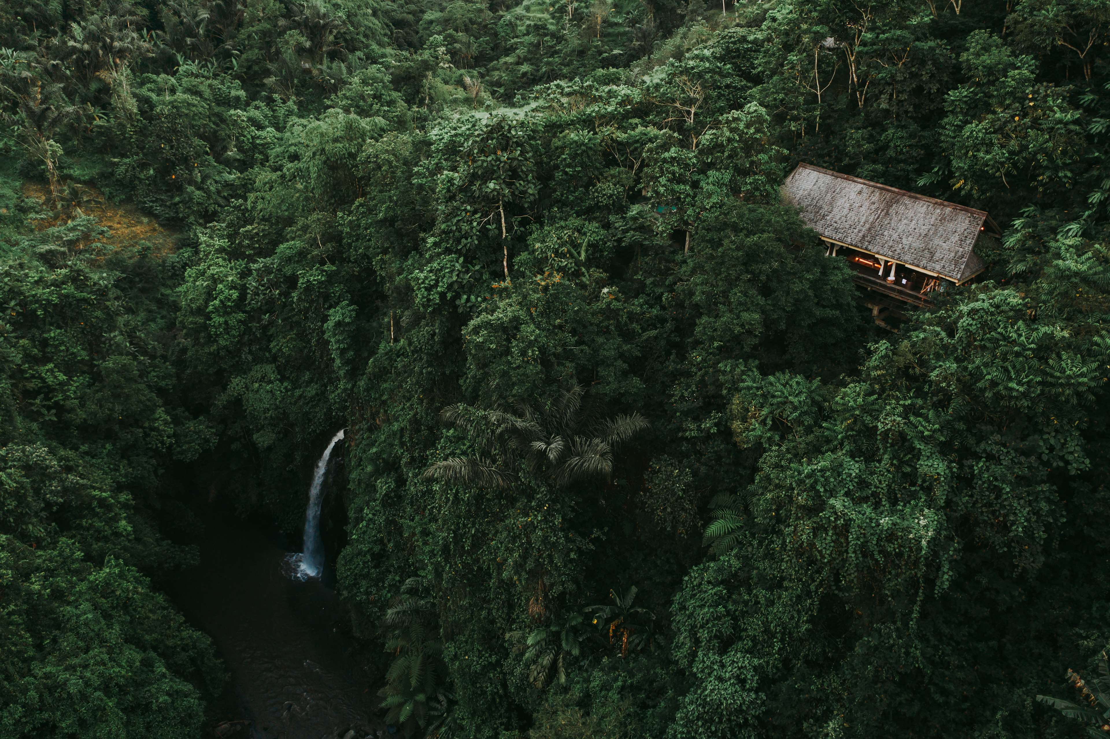 Buahan, A Banyan Tree Escape