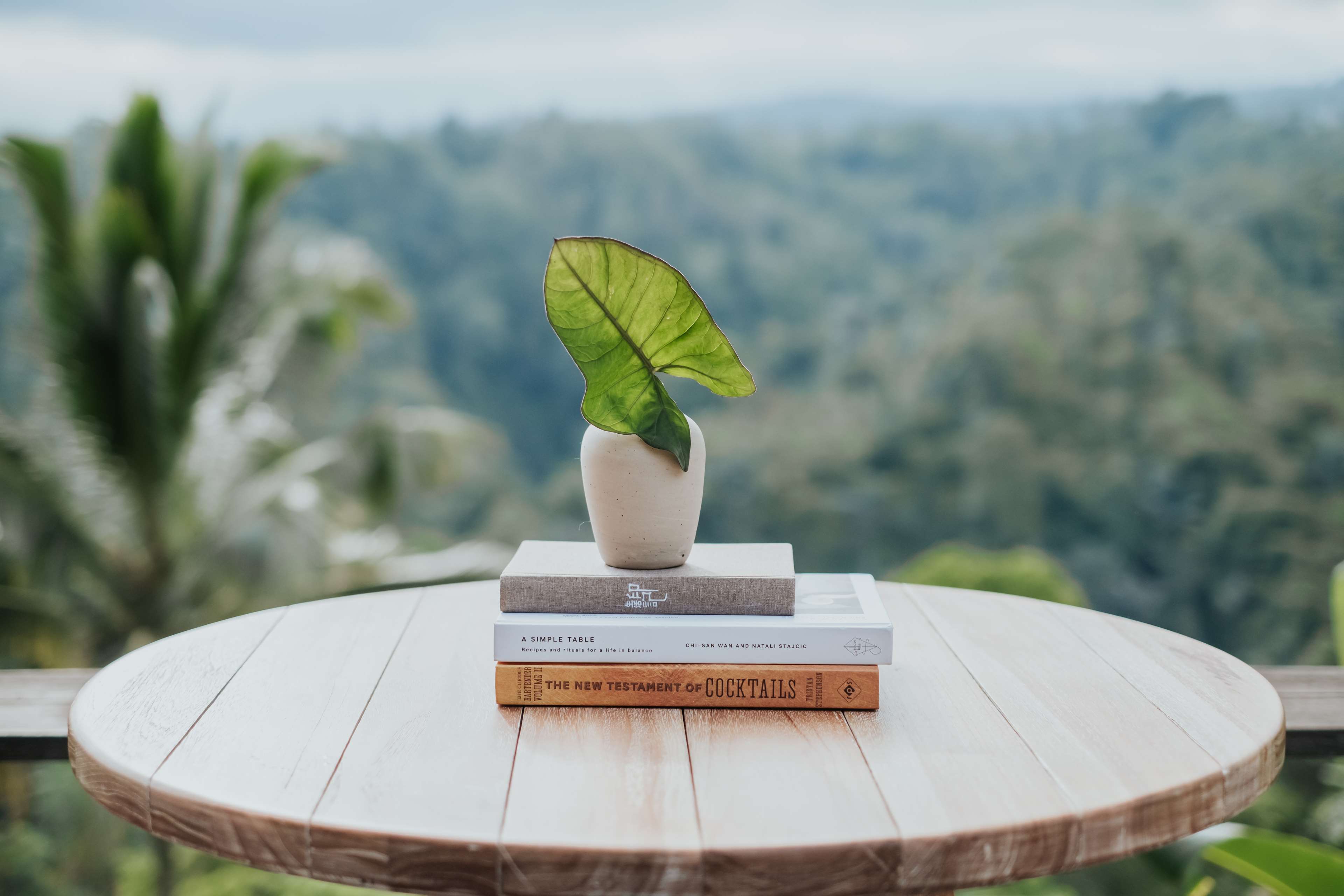 Buahan, A Banyan Tree Escape