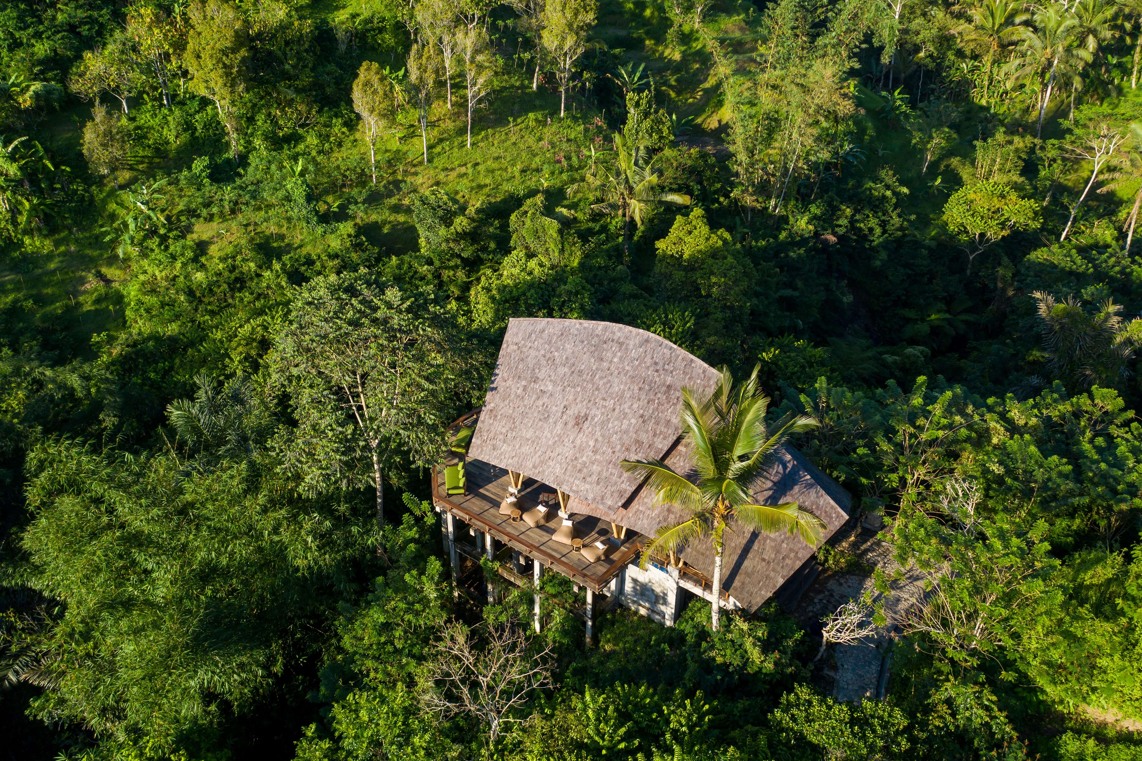 Buahan, A Banyan Tree Escape