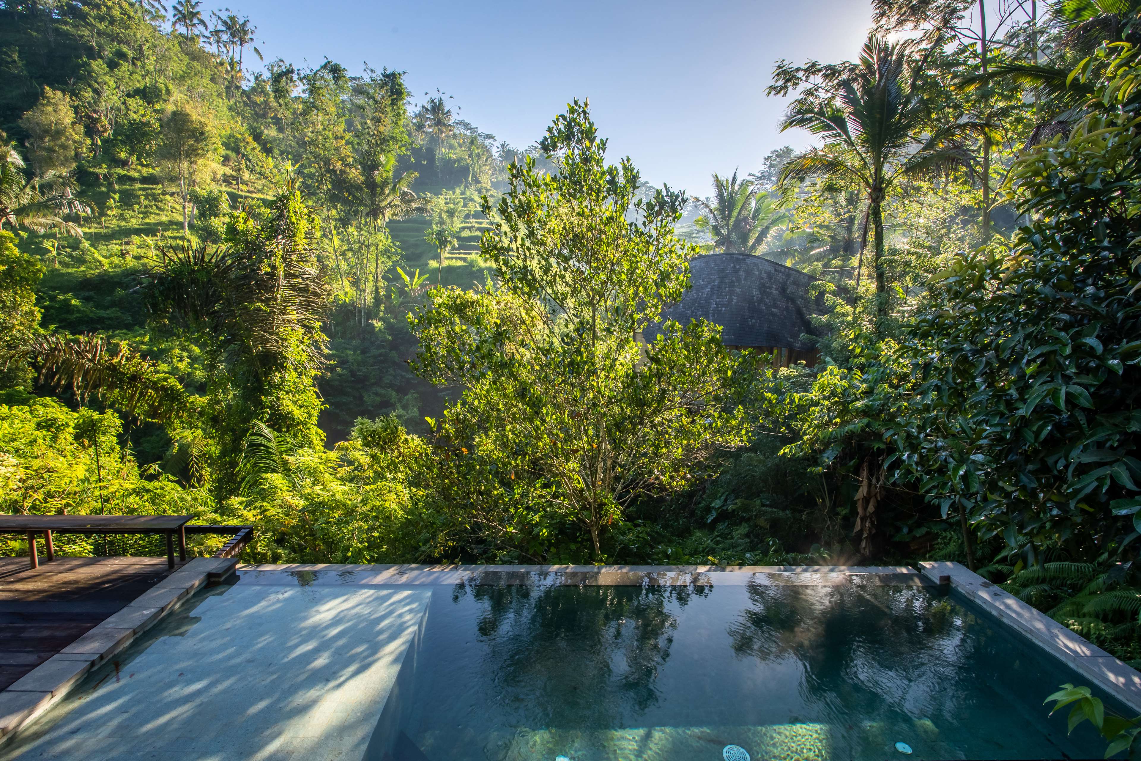 Buahan, A Banyan Tree Escape