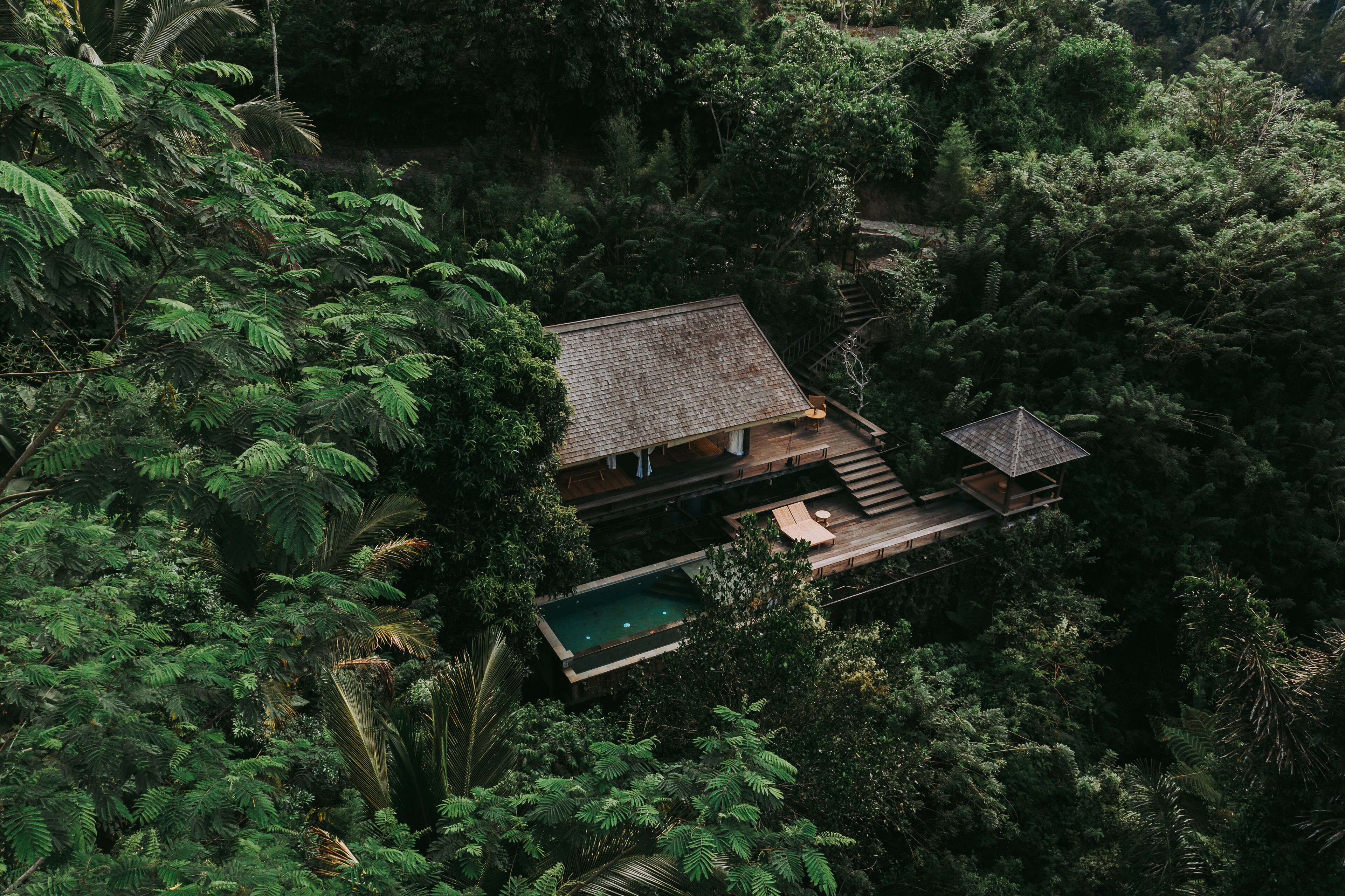 Buahan, A Banyan Tree Escape