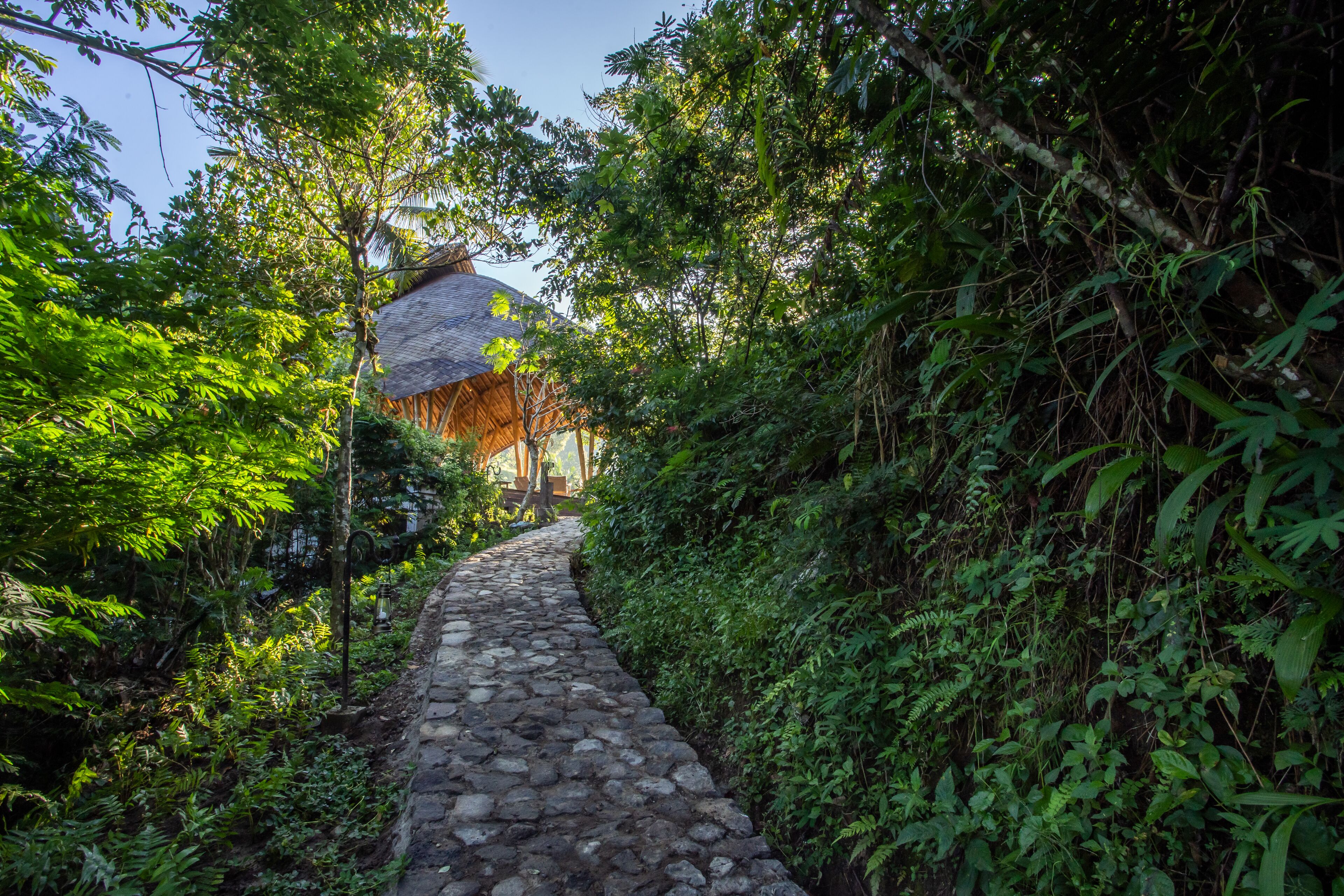 Buahan, A Banyan Tree Escape