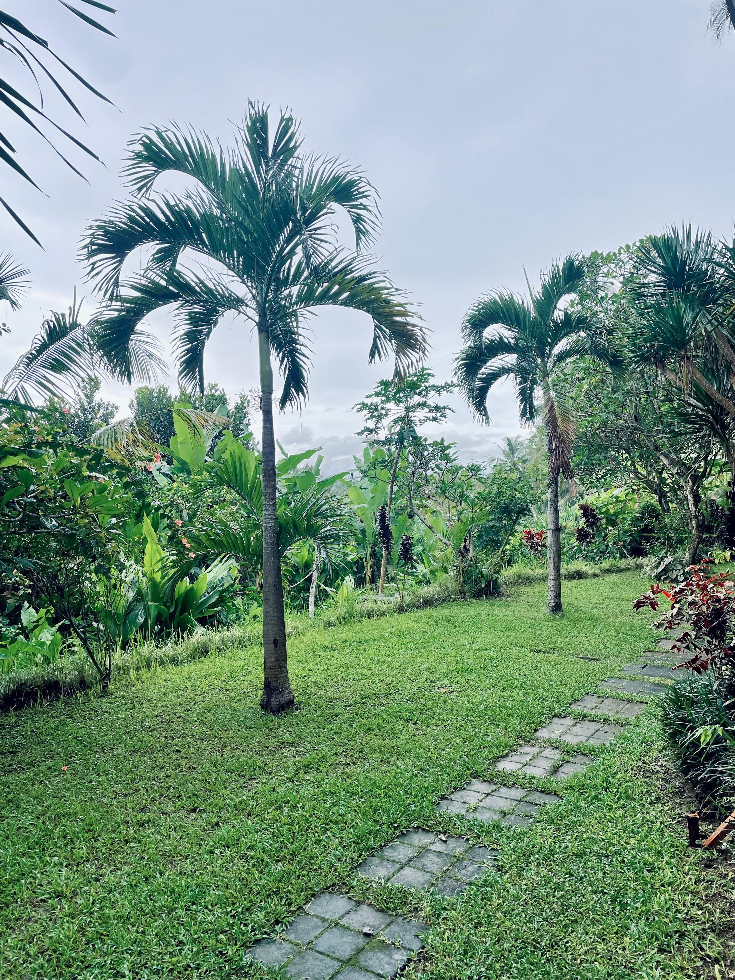 Giri Kusuma Hotel Payangan