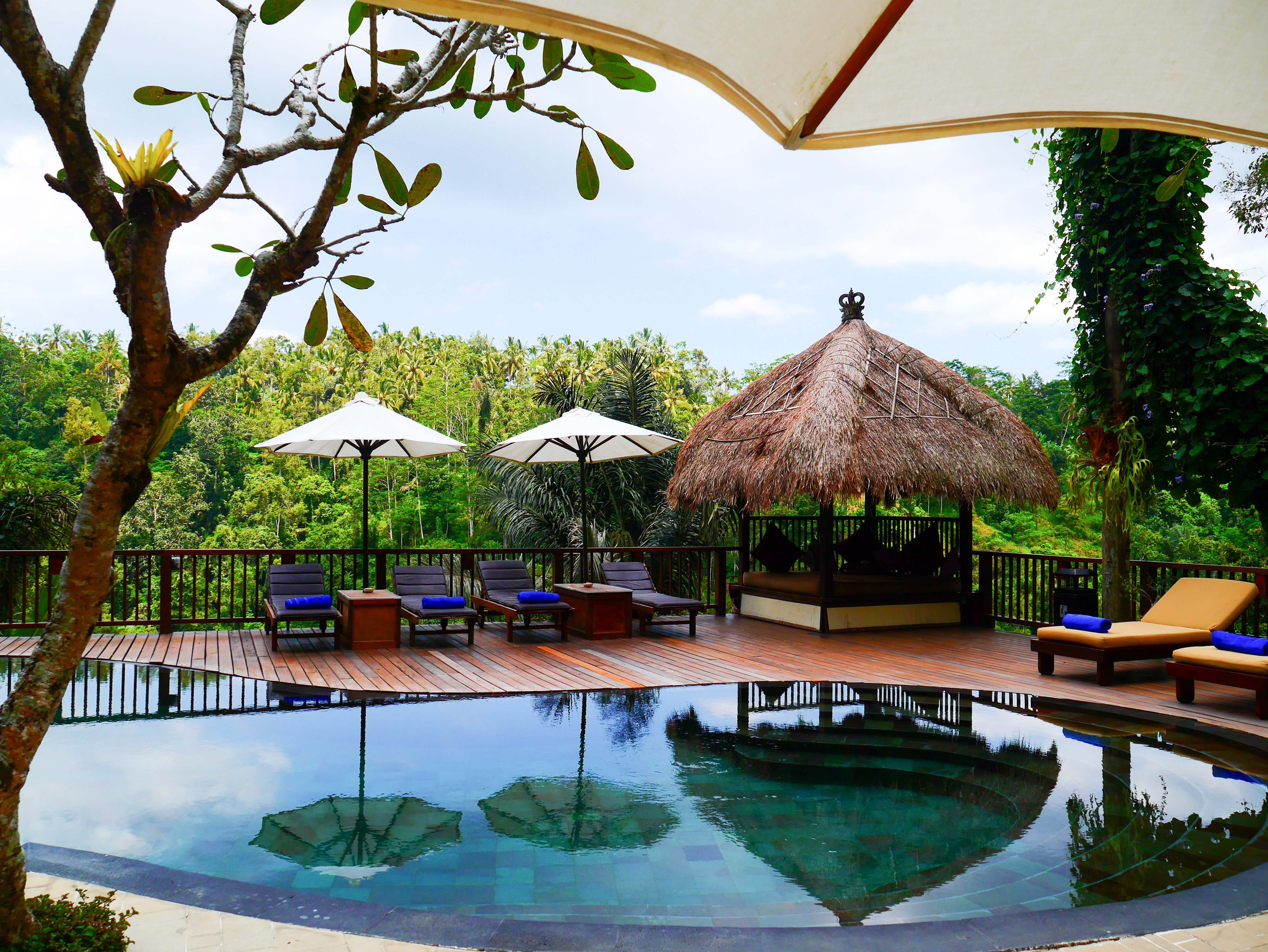 Nandini Jungle by Hanging Gardens