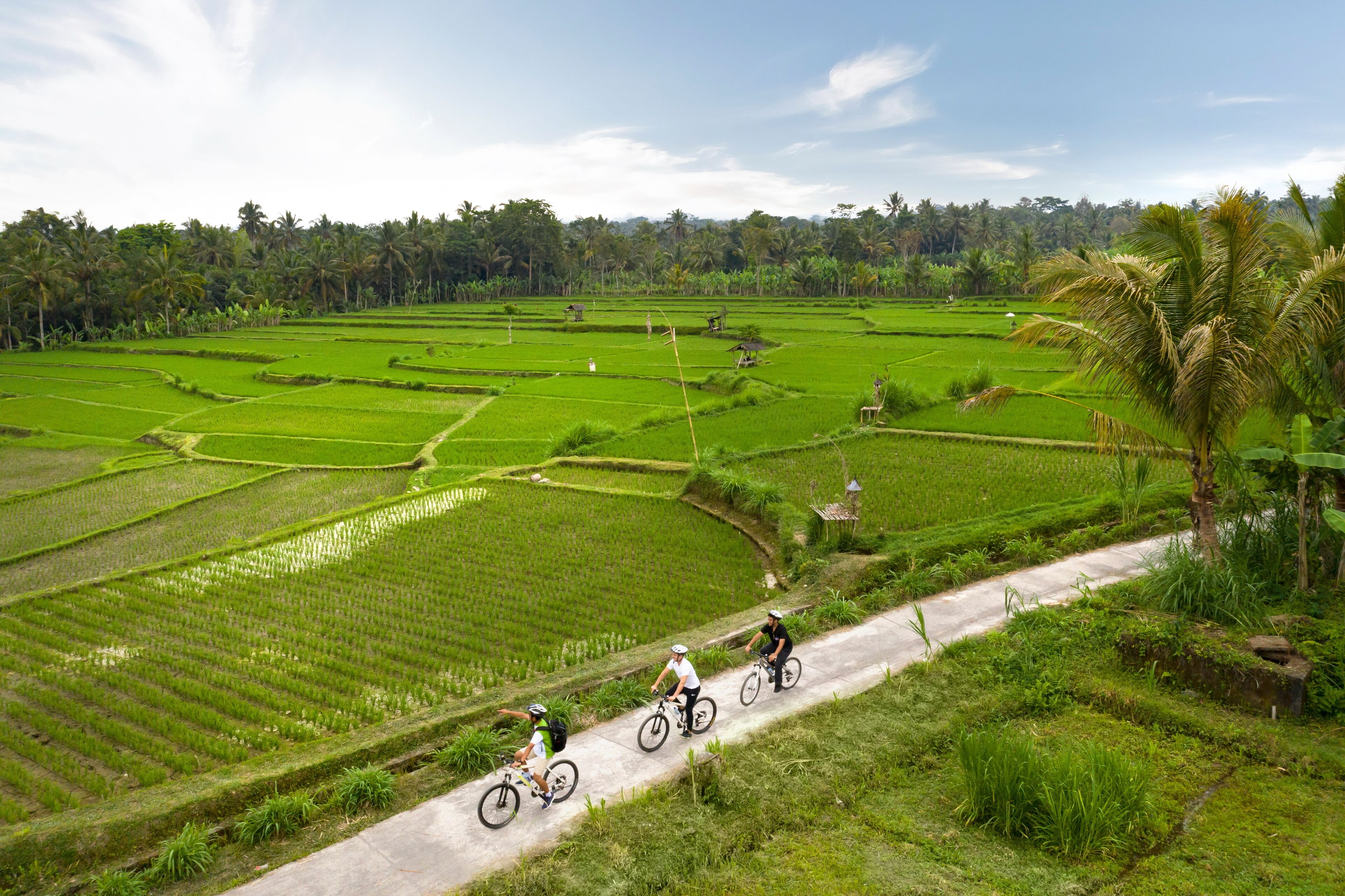 Padma Resort Ubud