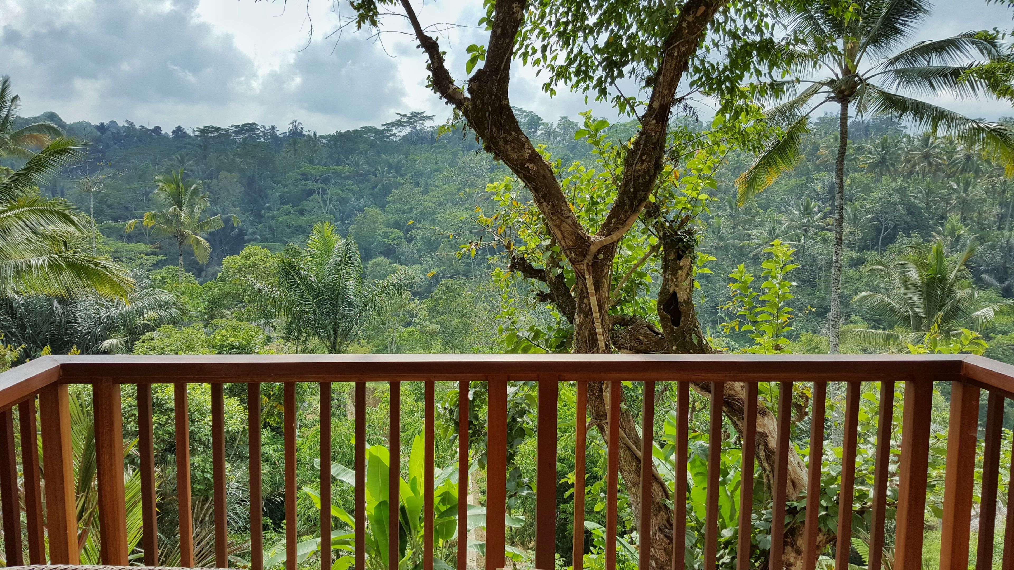 Padma Resort Ubud