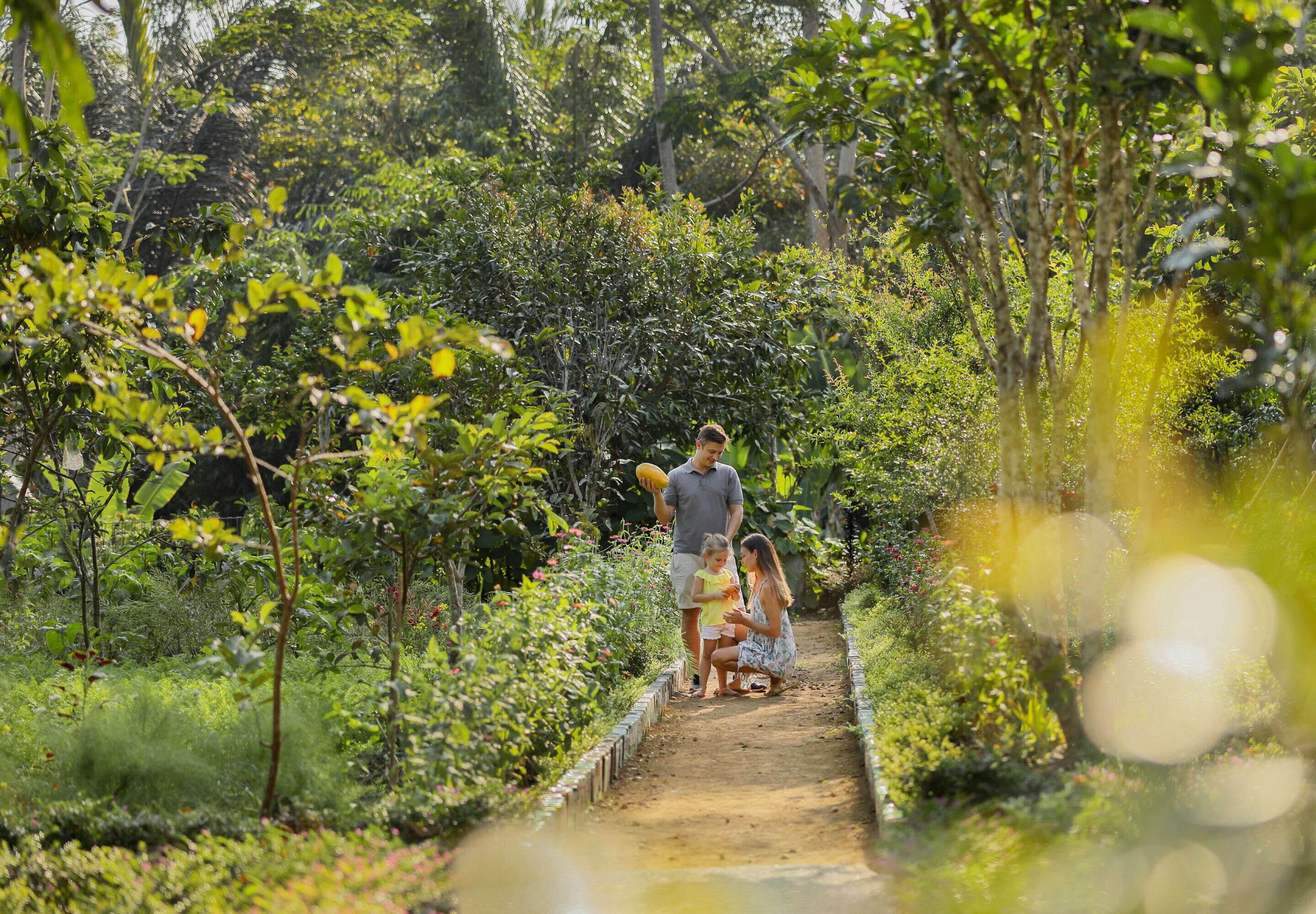 Padma Resort Ubud