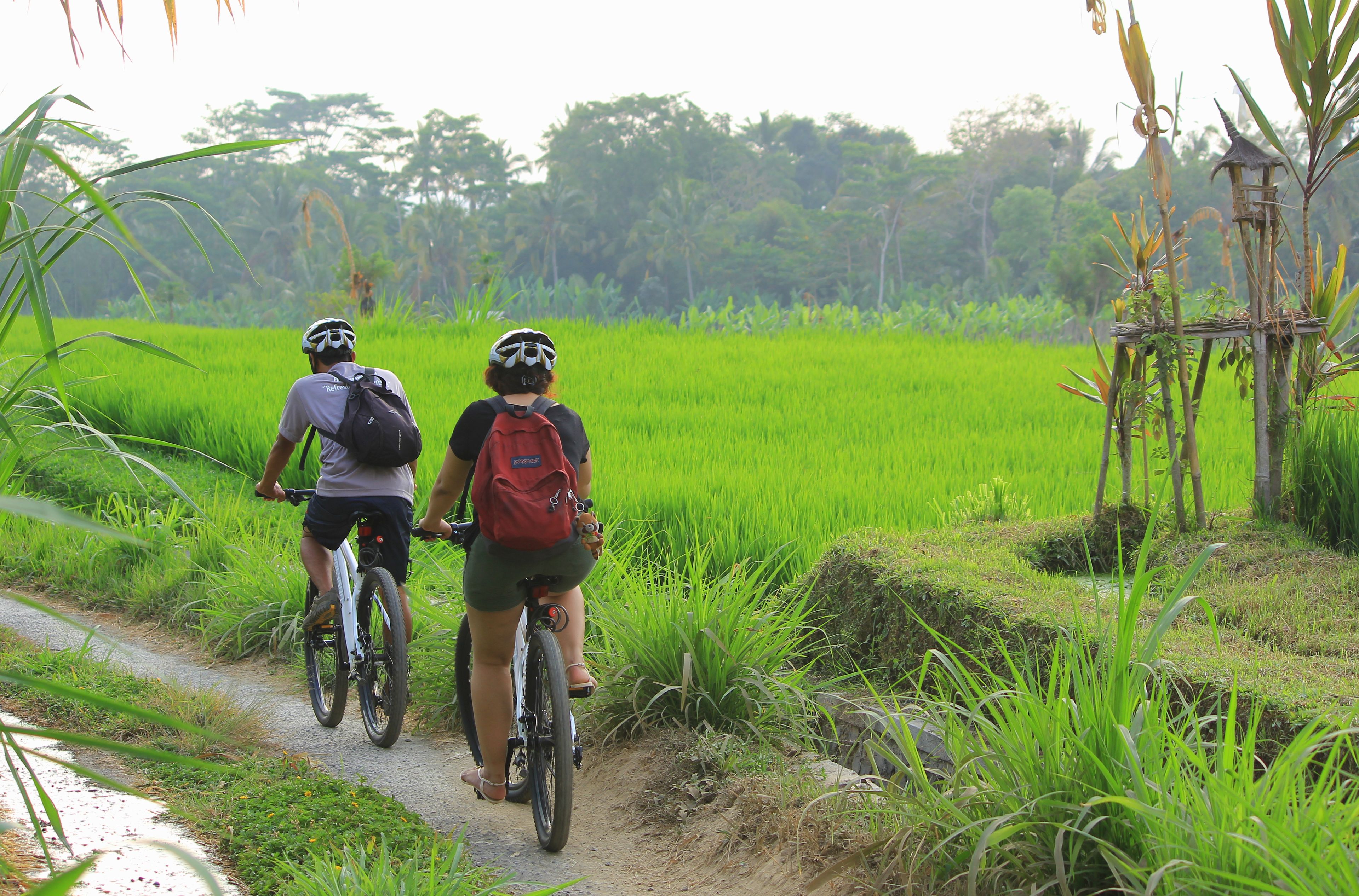 Padma Resort Ubud