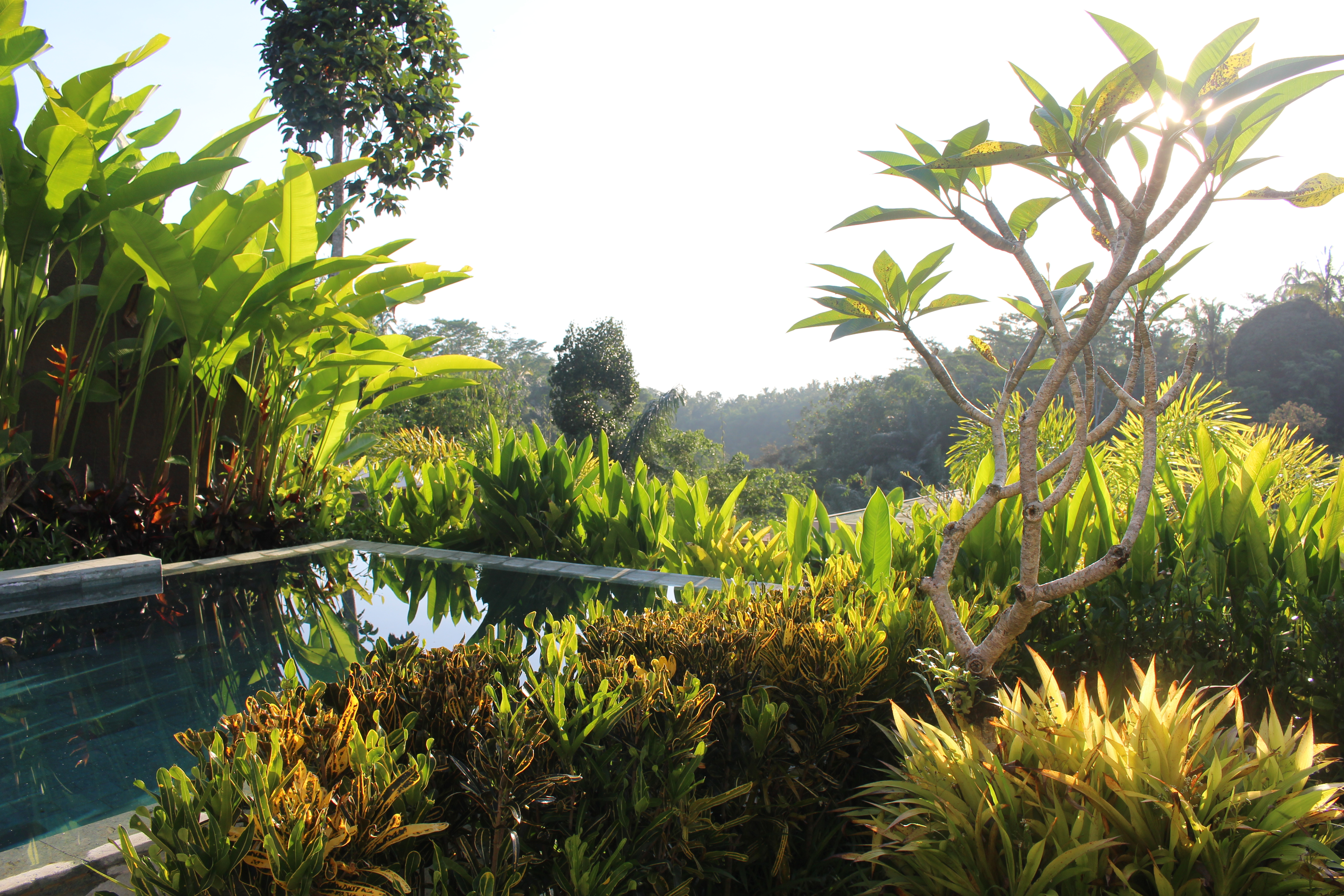 Senetan Villas & Spa Resort