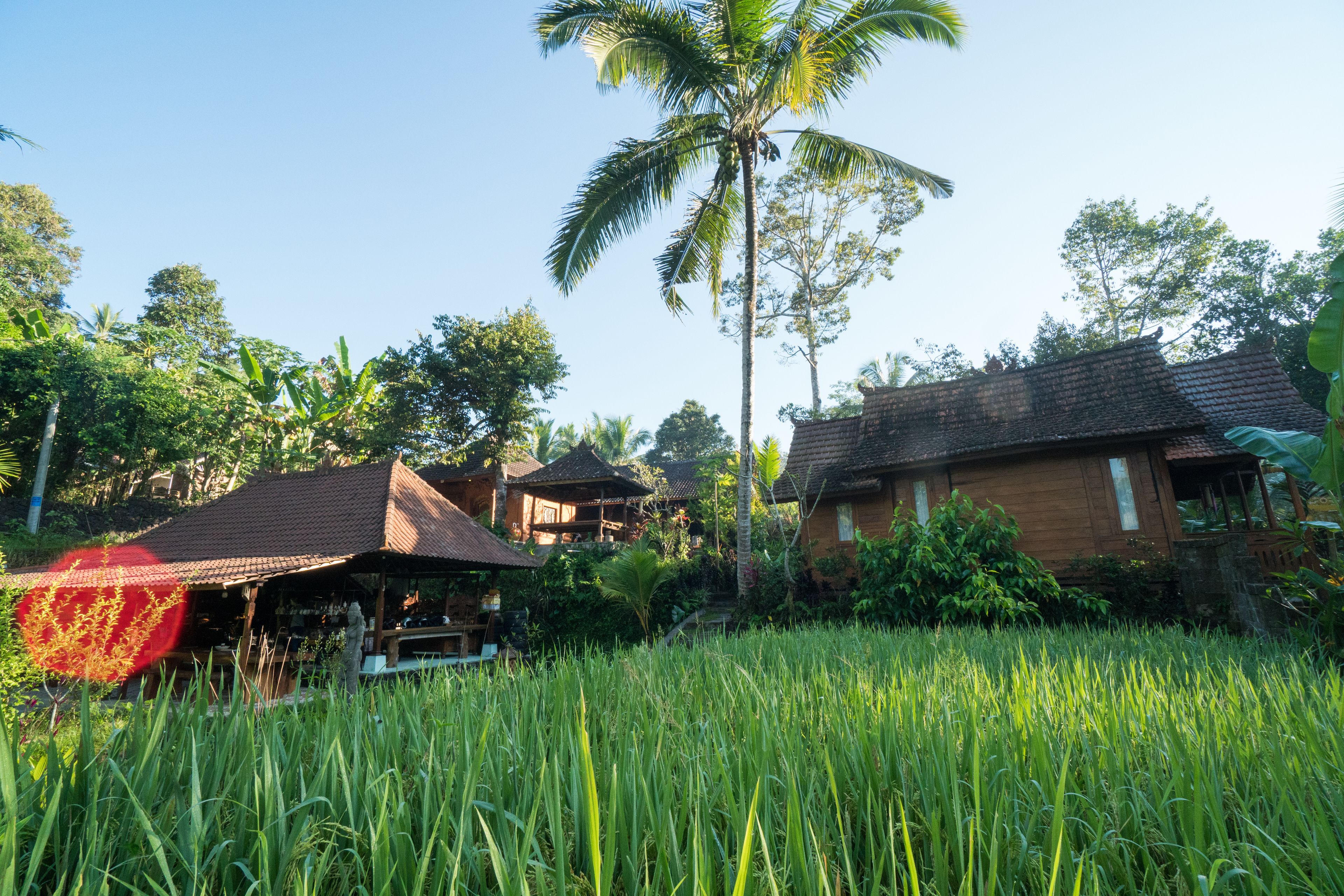 Song Broek Jungle Resort