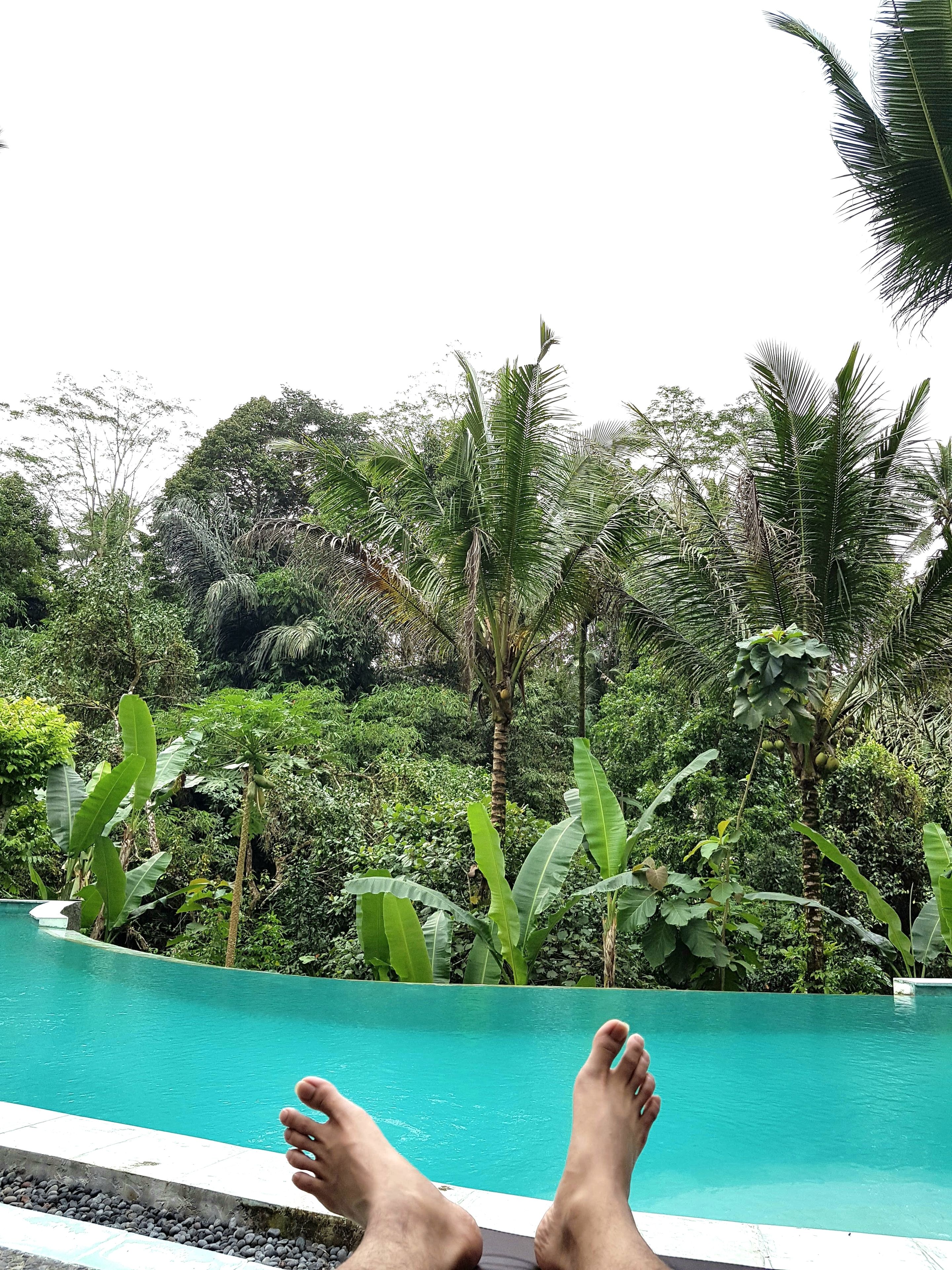Song Broek Jungle Resort