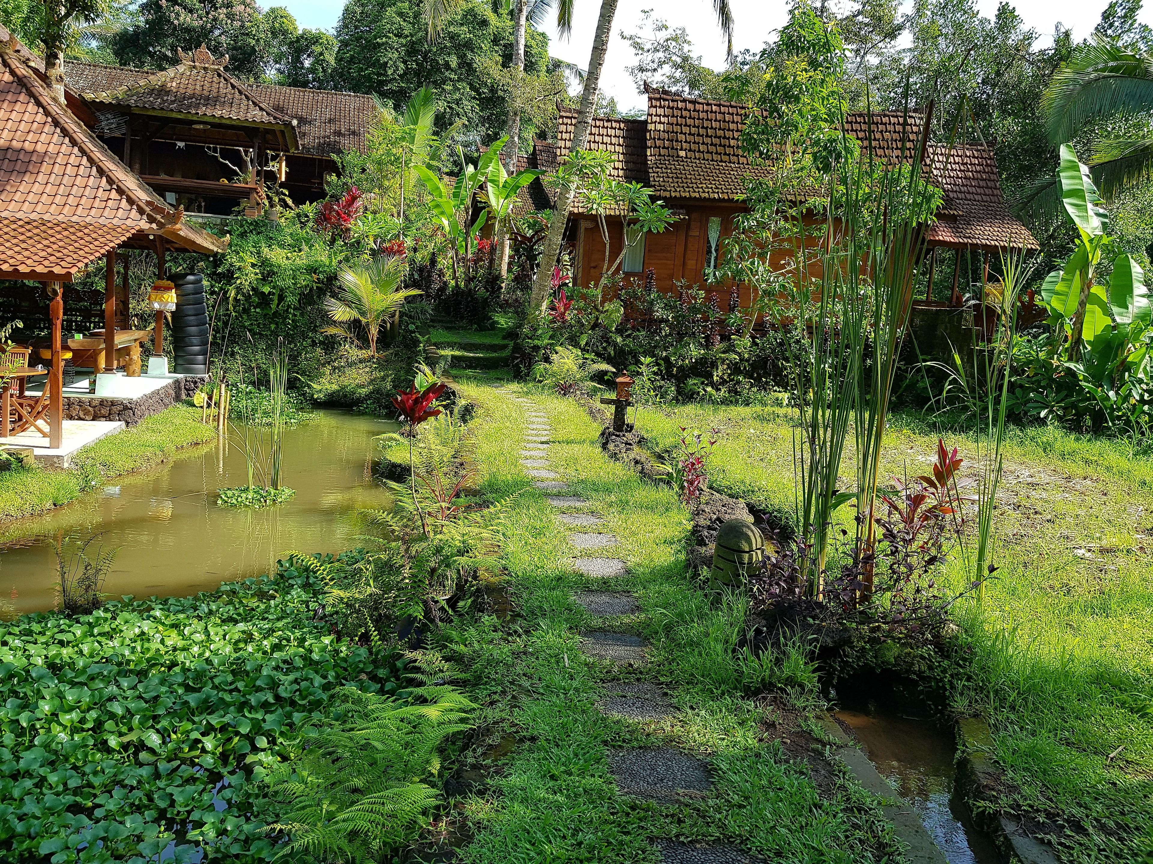 Song Broek Jungle Resort