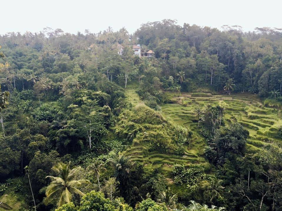 Ubud Green View Villas
