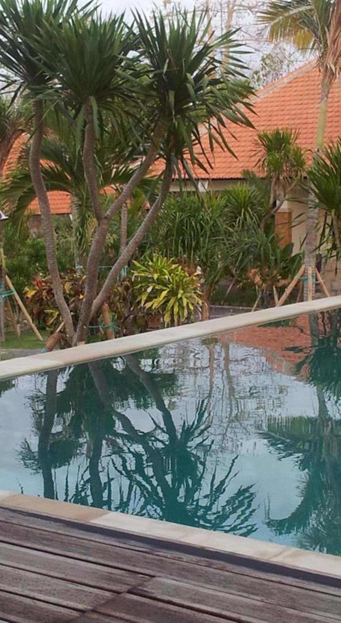 Medori Putih Homestay