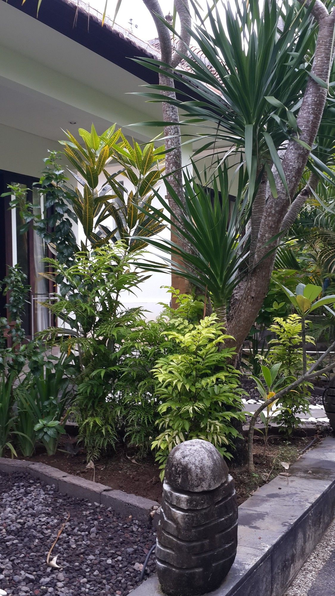 Medori Putih Homestay