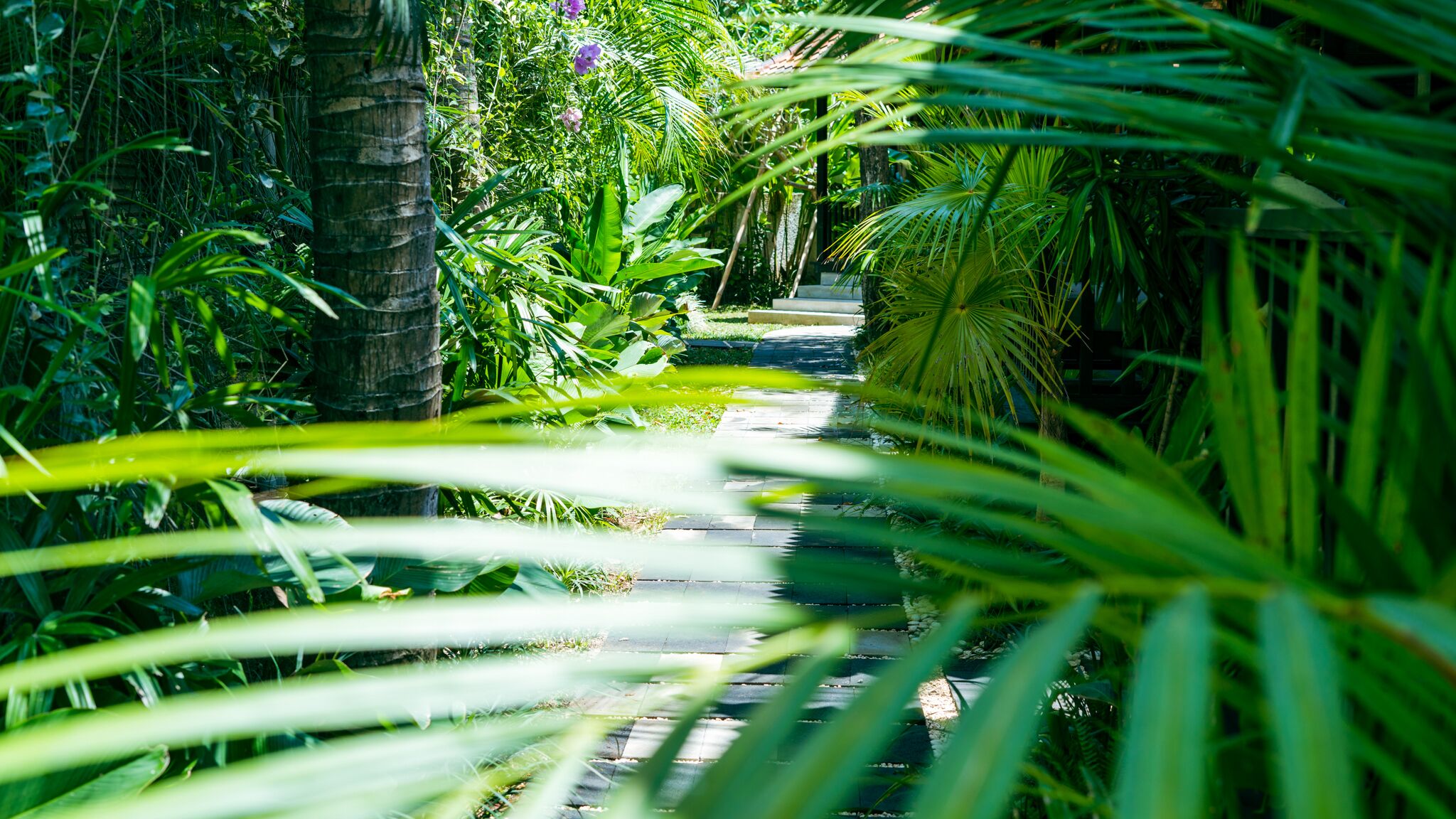 Onaya Bali Resort