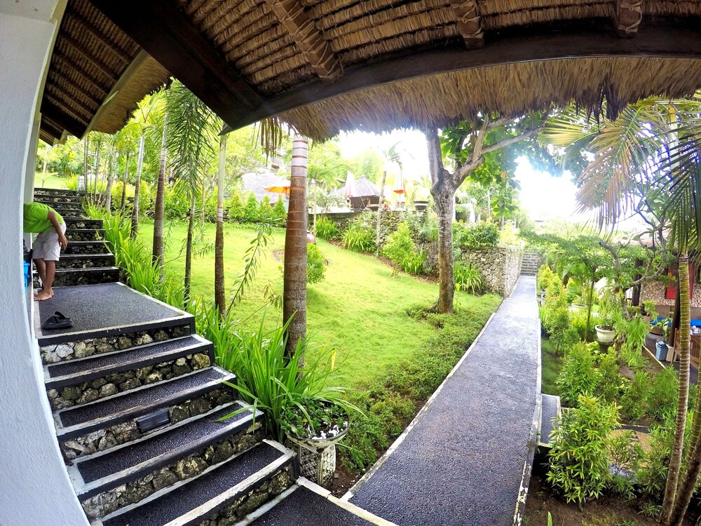 The Eyes Bali