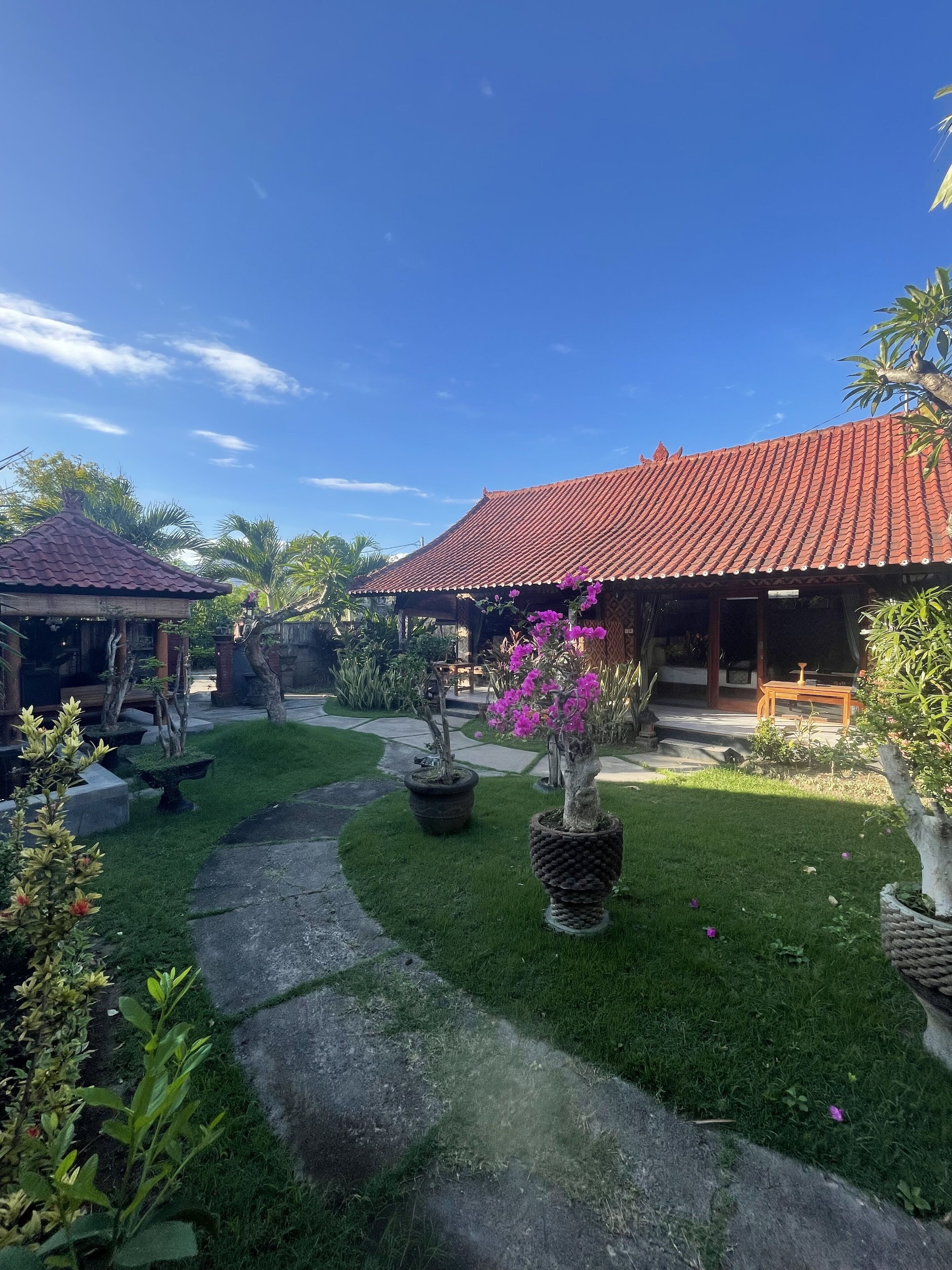 Tebu Menjangan