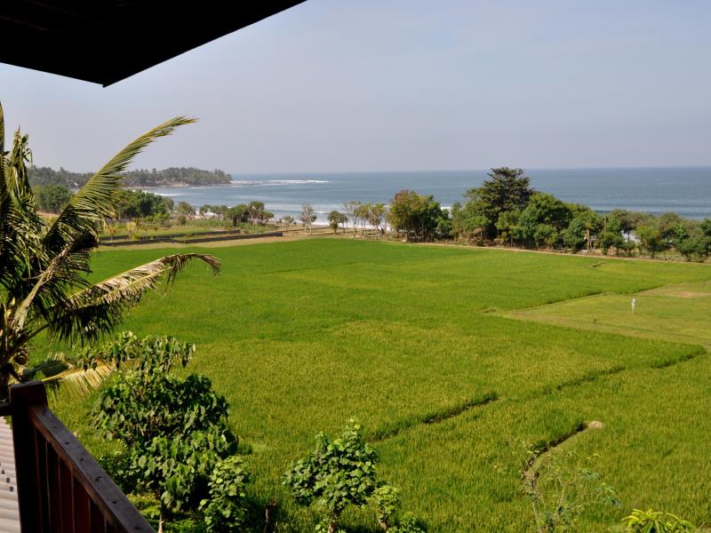 Dikaloha Surfcamp Medewi