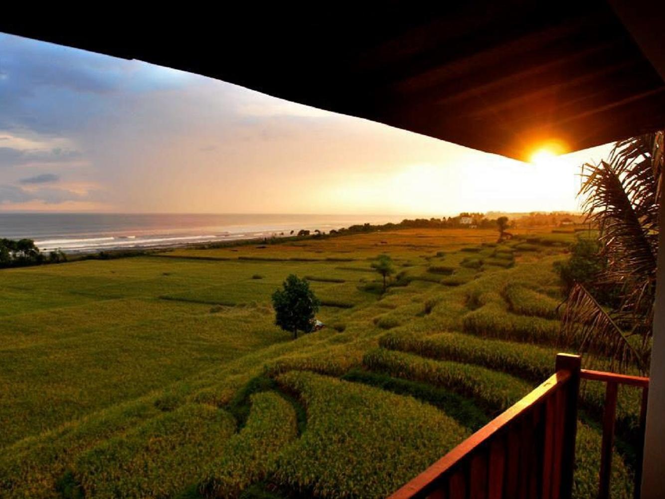 Dikaloha Surfcamp Medewi