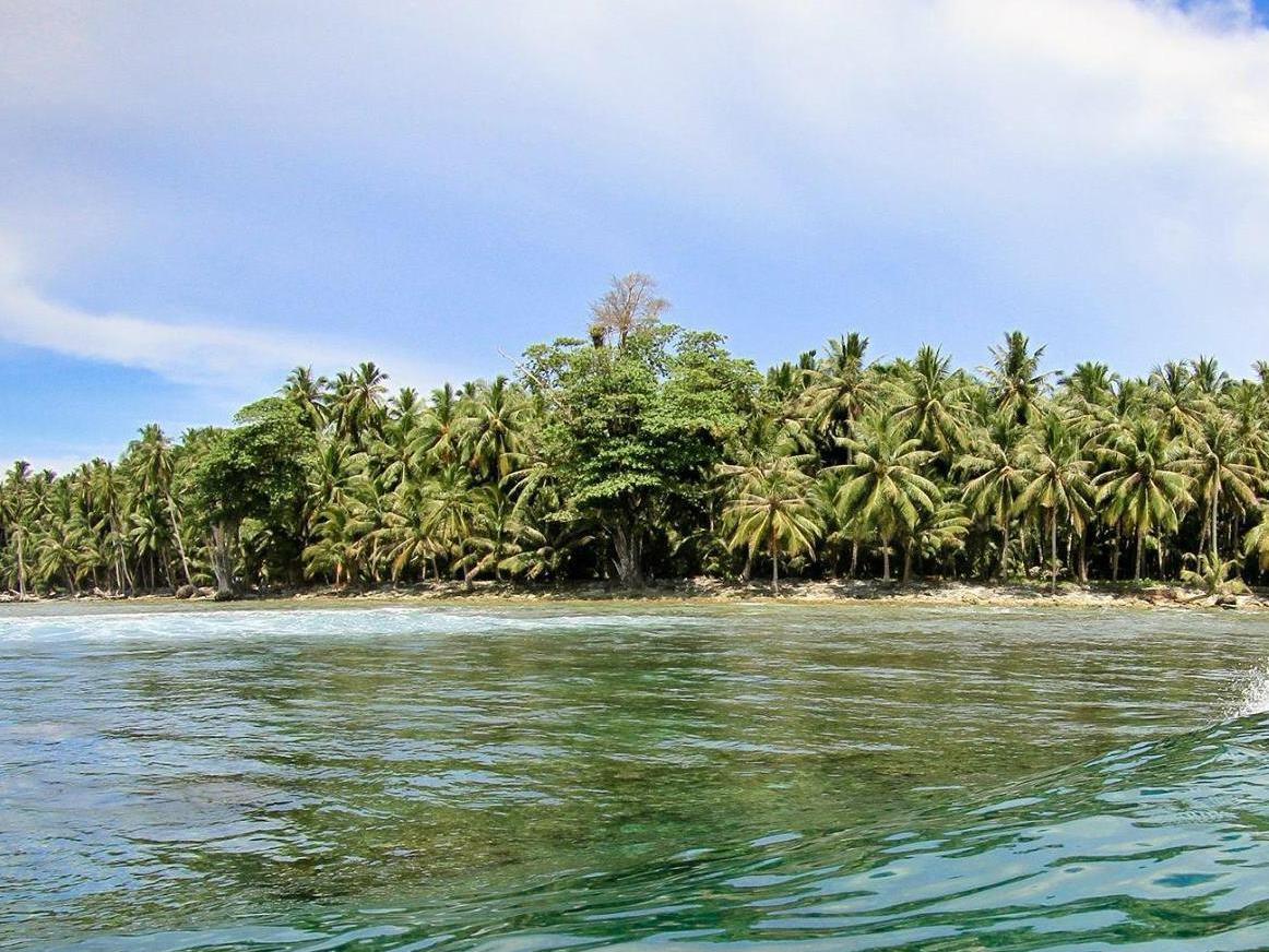 Dikaloha Surfcamp Medewi