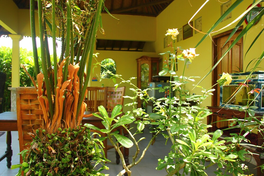 Medewi Surf Homestay