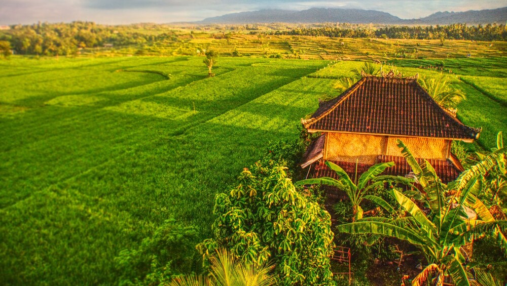 Medewi Surf Homestay