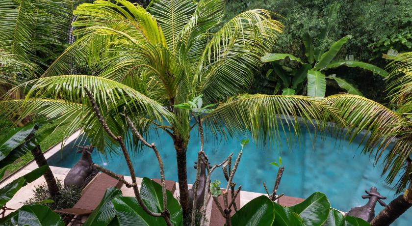 Jungle Haven Resort Central