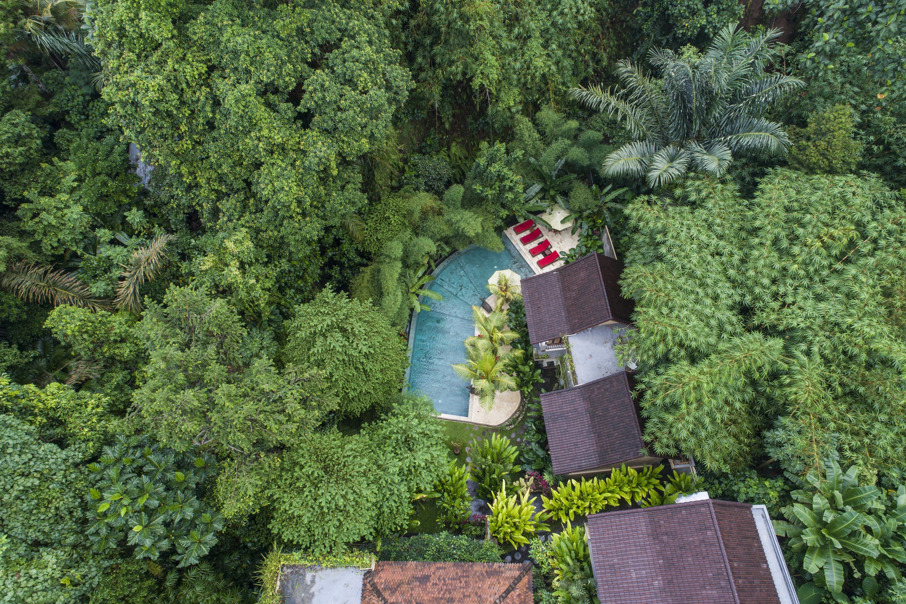 Jungle Haven Resort Central