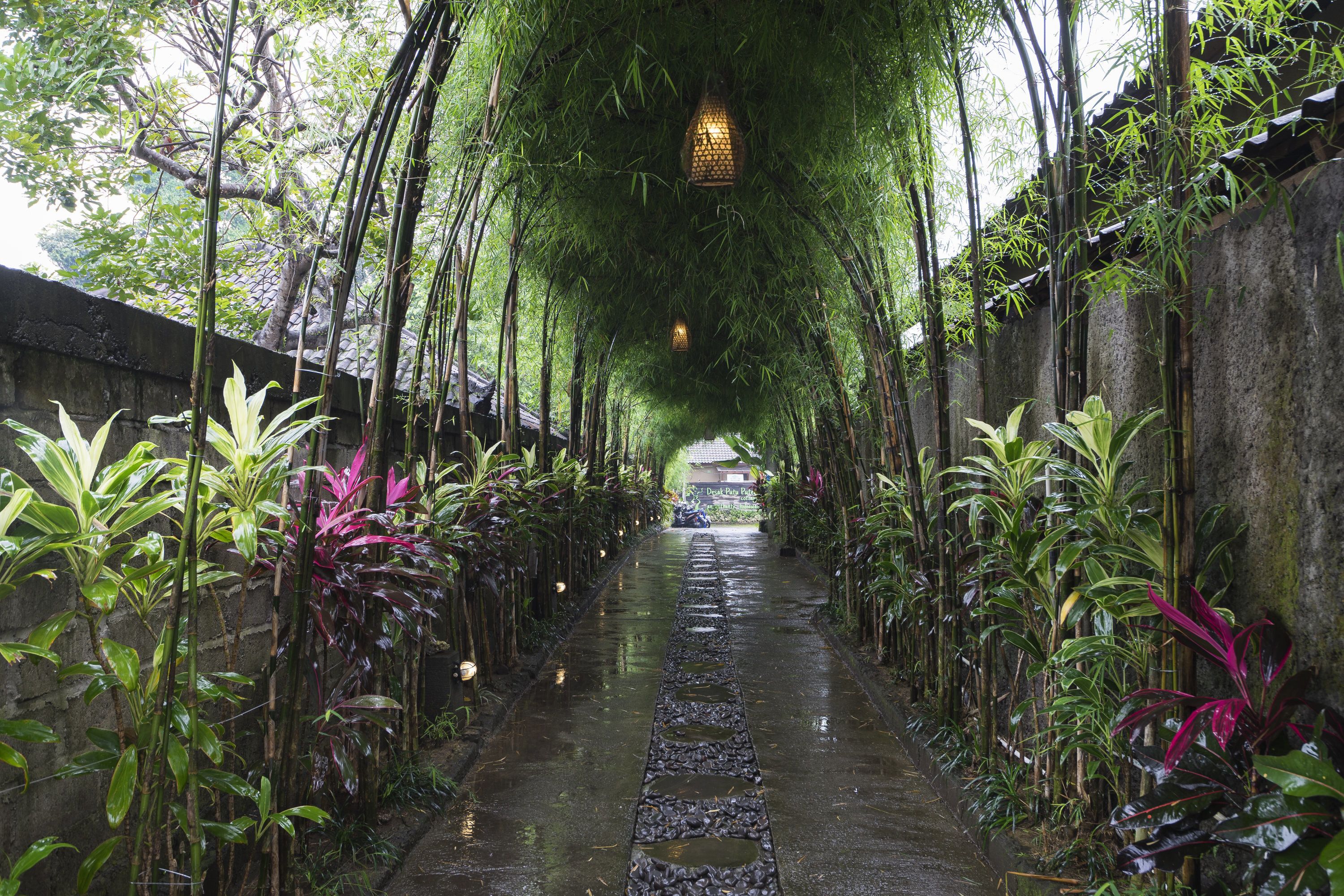 Jungle Haven Resort Central