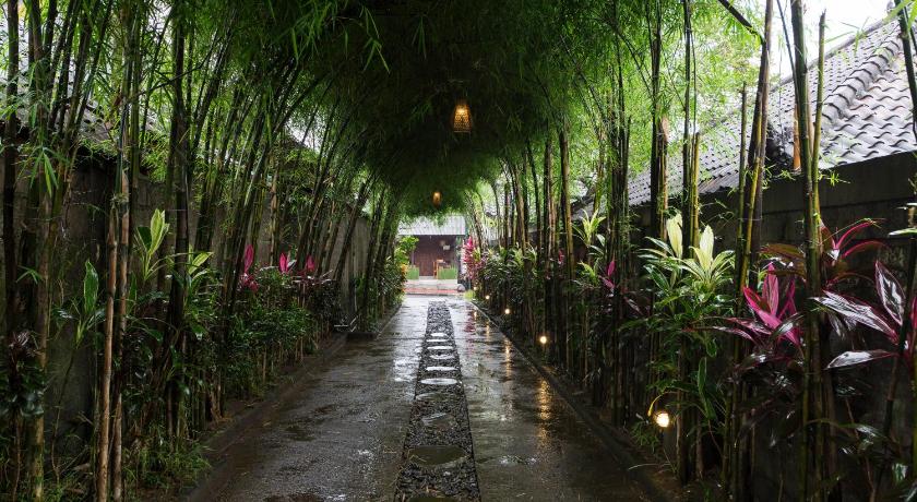 Jungle Haven Resort Central