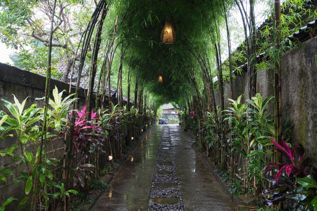 Jungle Haven Resort Central