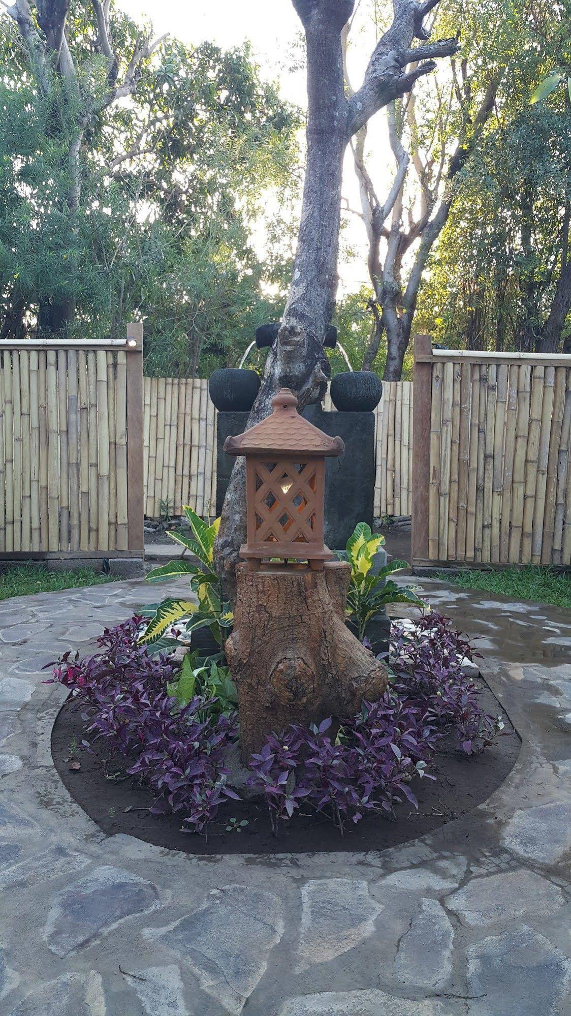 Mango Tree Inn